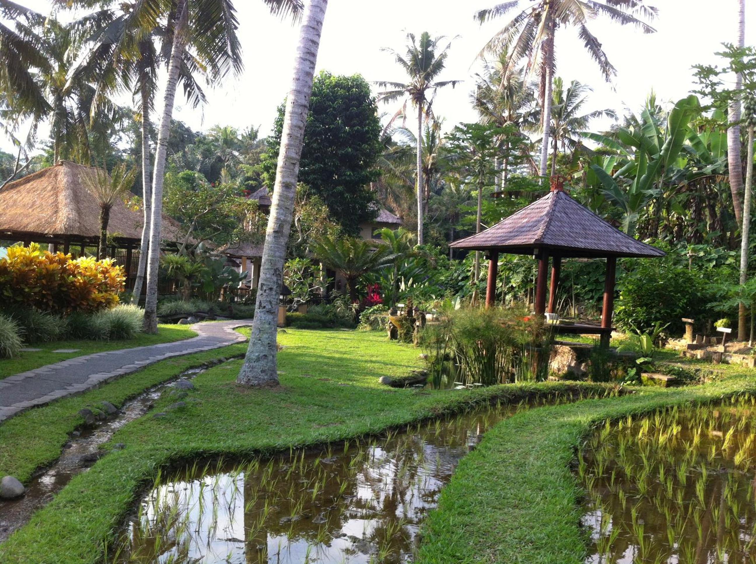 Villa Semana Resort Ubud - Image 5