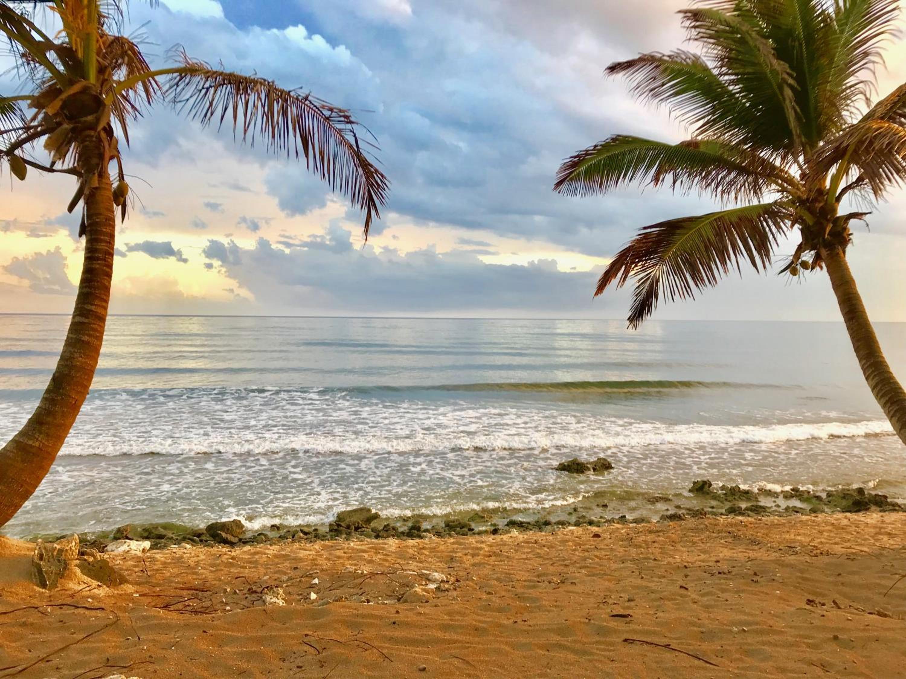 Turtle Beach Sanctuary, Utila