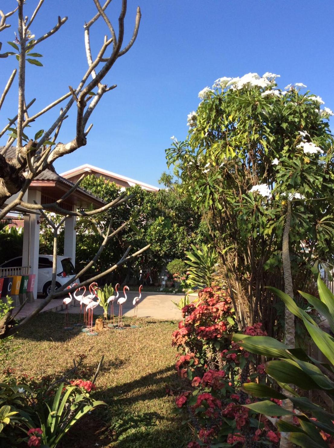 Nuch's Apple Guest House