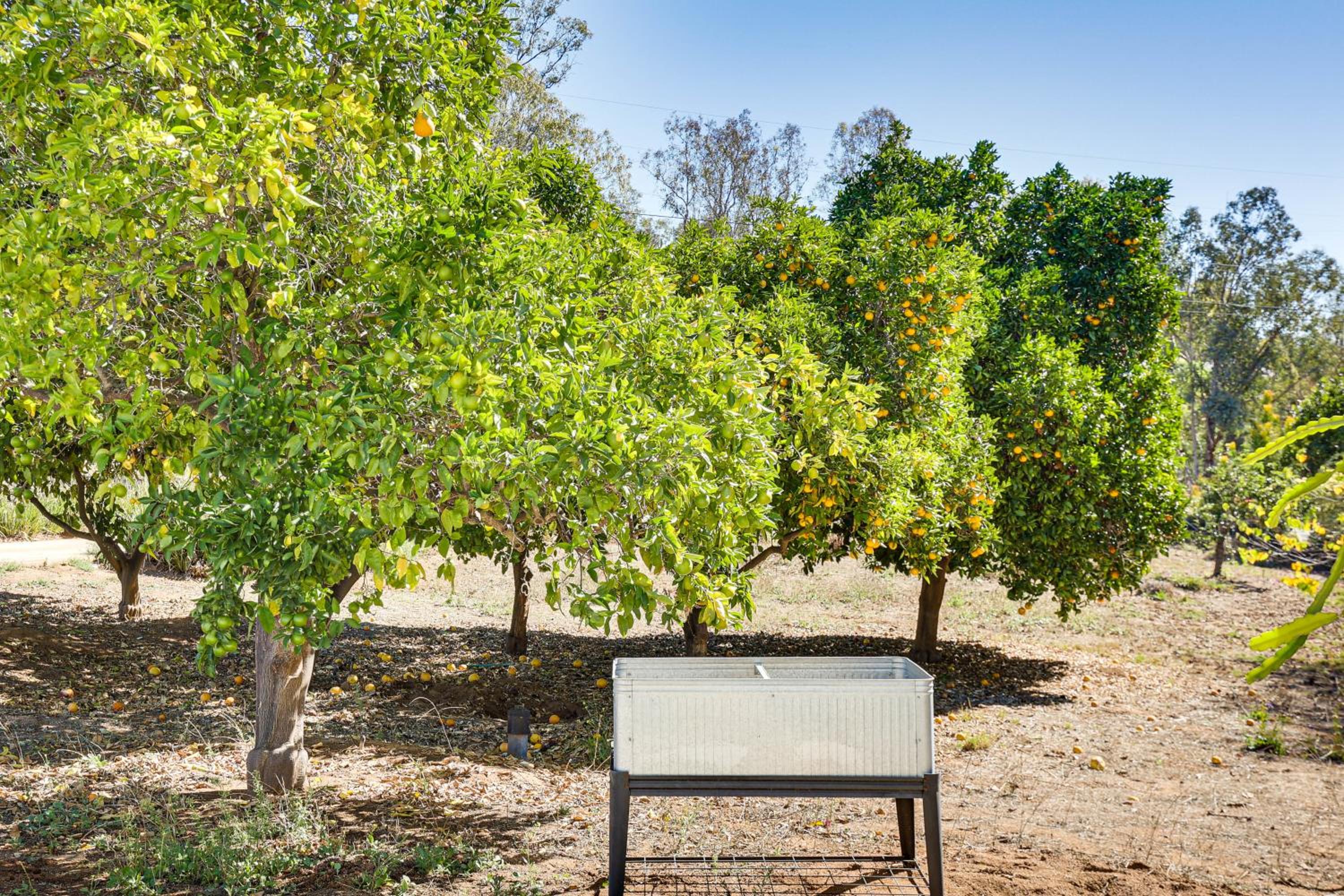 Hike, Sip and Explore Couples Retreat in Fallbrook
