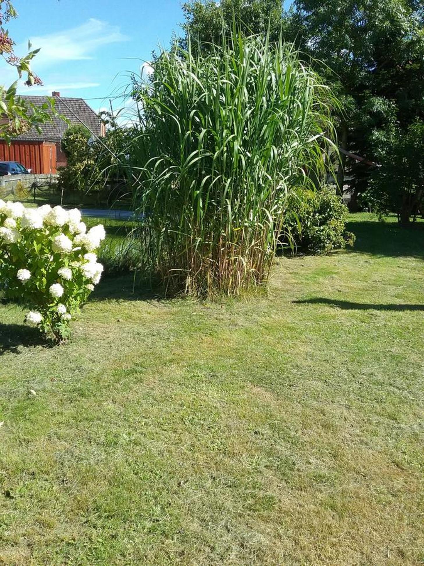 Zimmer und Apartment Rosi