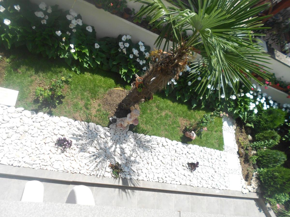 Photo 40