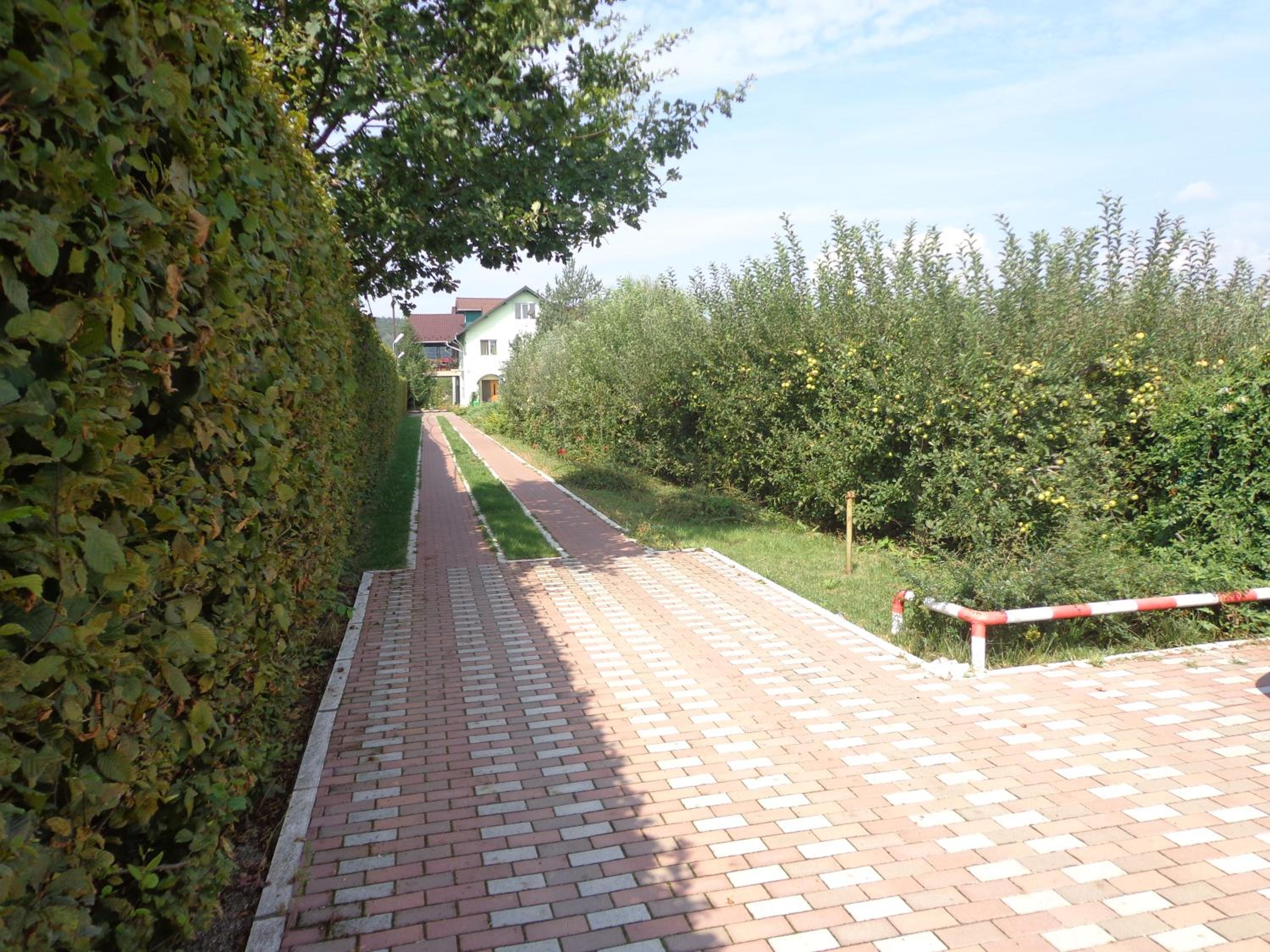 Photo 44