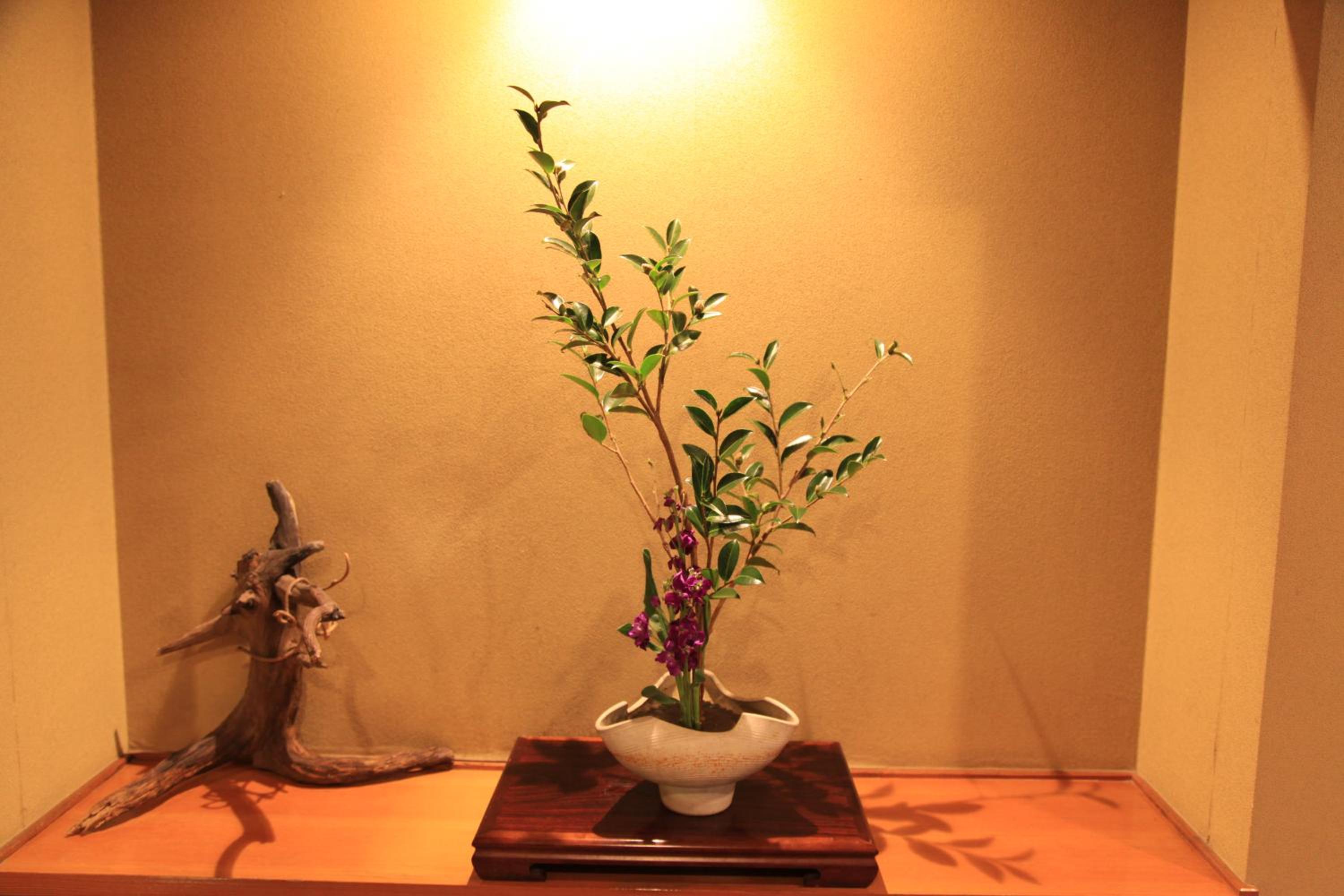 Hotel New Kotobuki