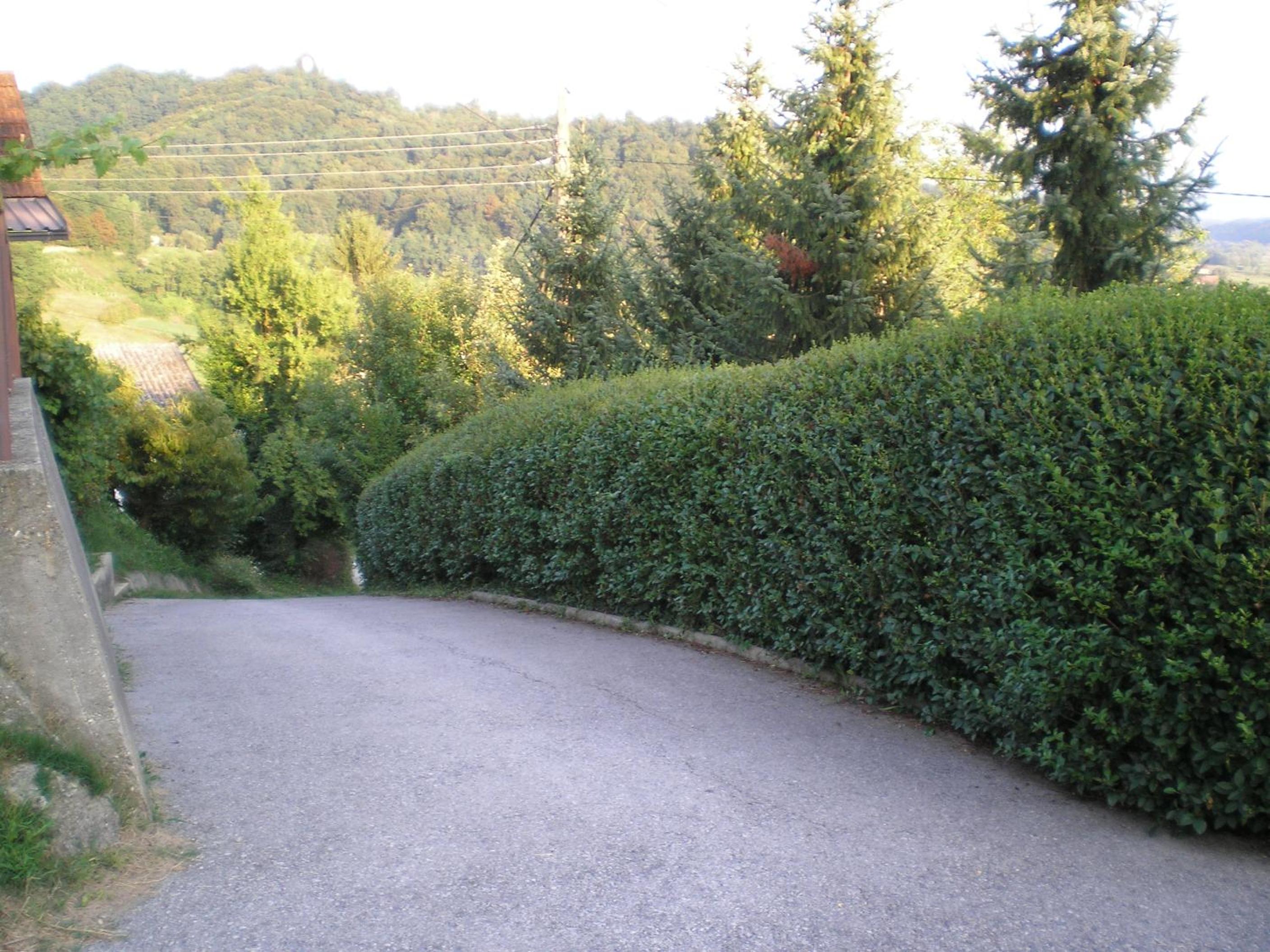 Apartments Country House Stipica