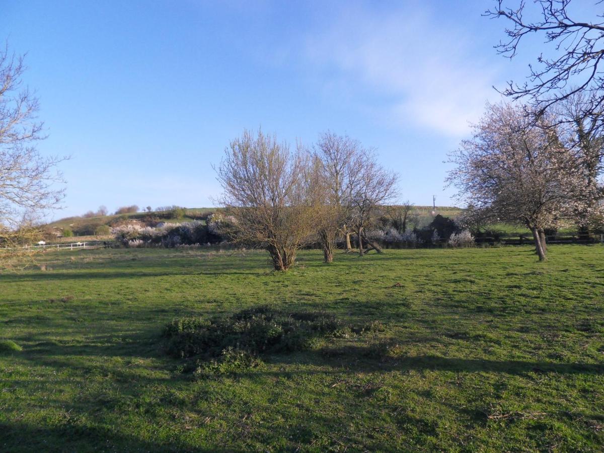 Les Roulottes des Songes de l'Authie - Property Image 9