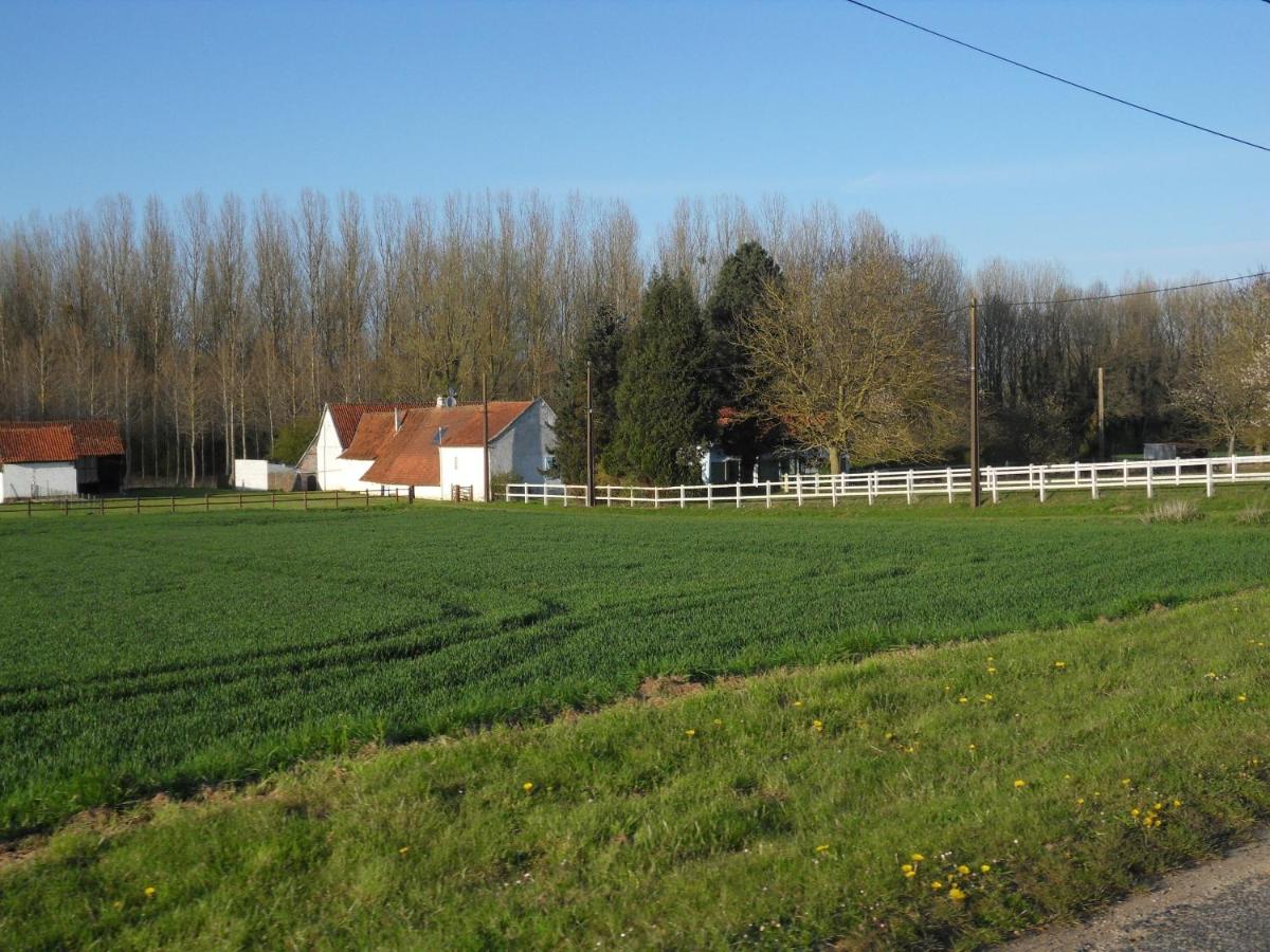 Les Roulottes des Songes de l'Authie - Property Image 4