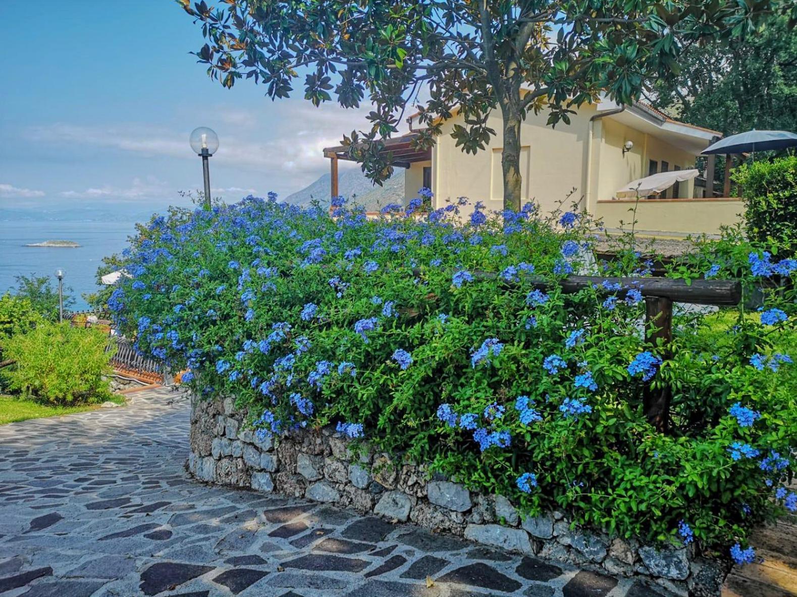 Villa Rosamaria view 3