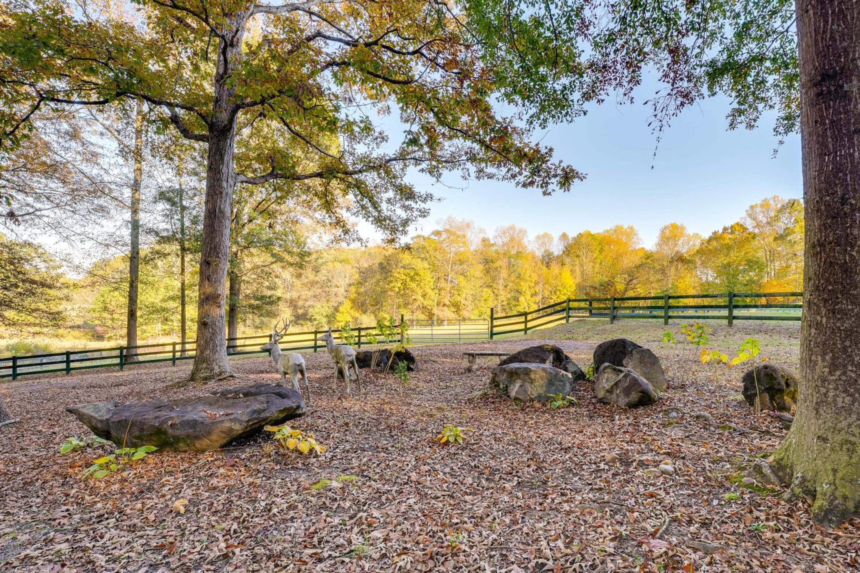 Cozy Couples Escape with Patio in Northwest Georgia