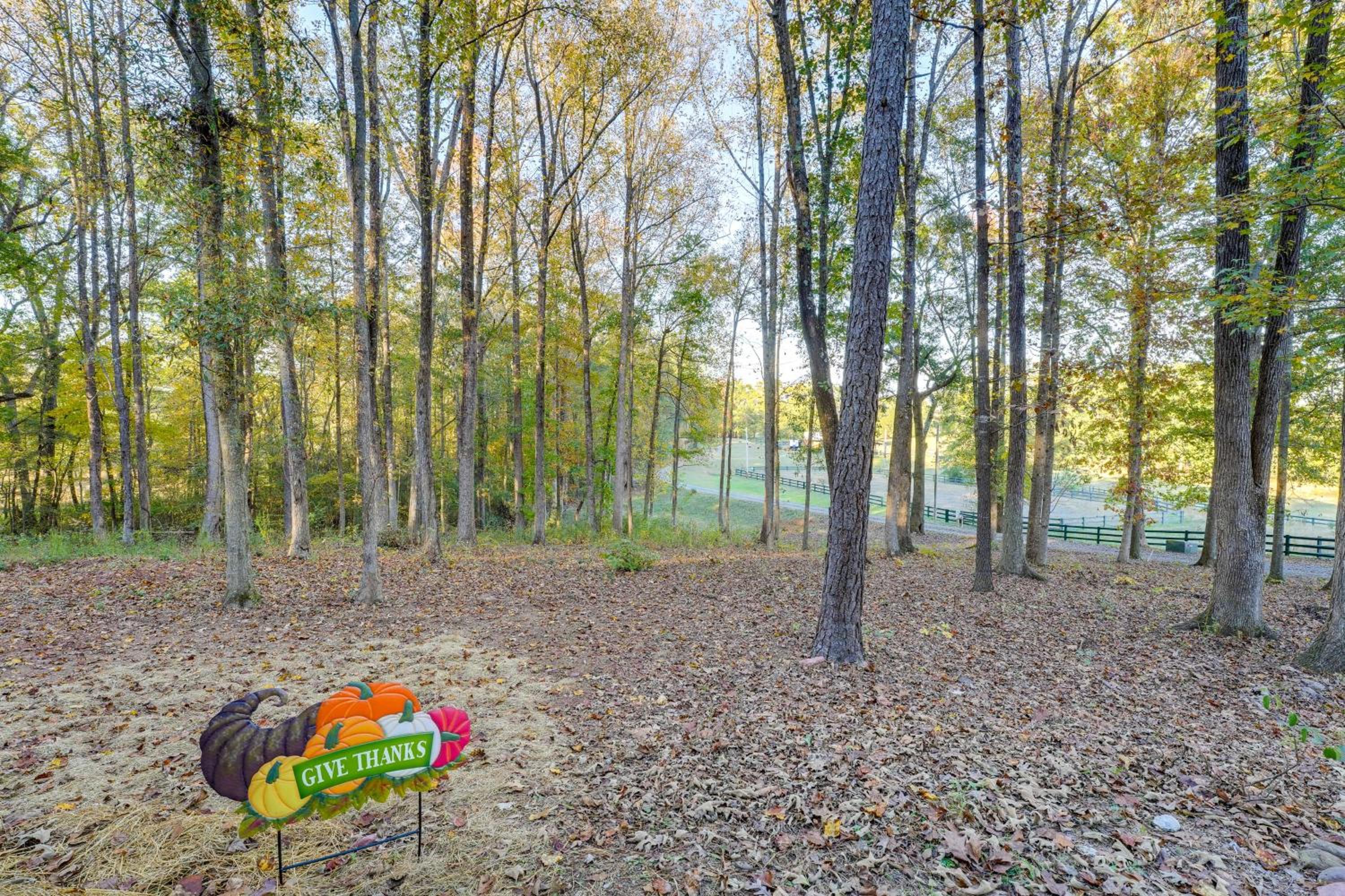 Cozy Couples Escape with Patio in Northwest Georgia