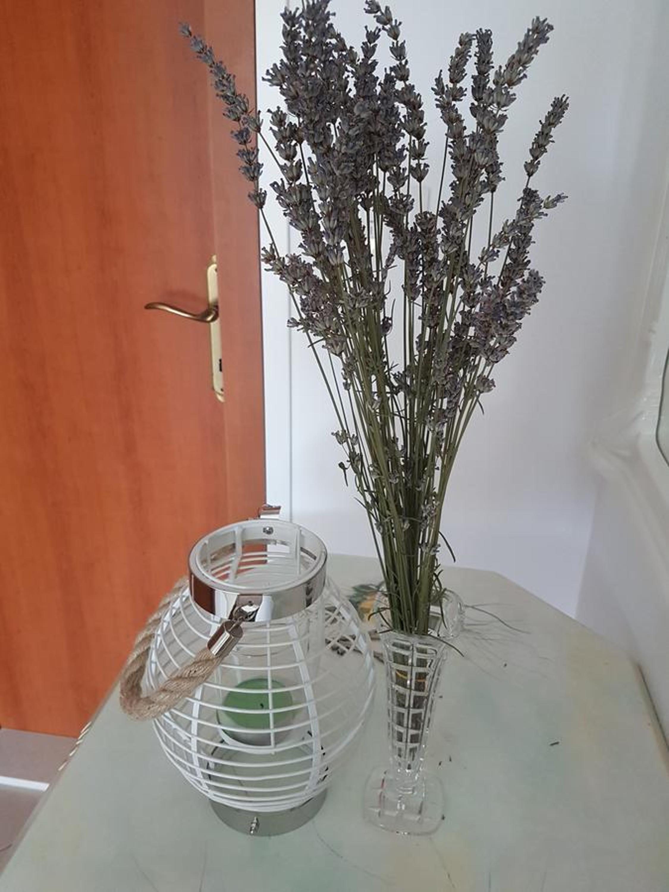 Apartment Roma
