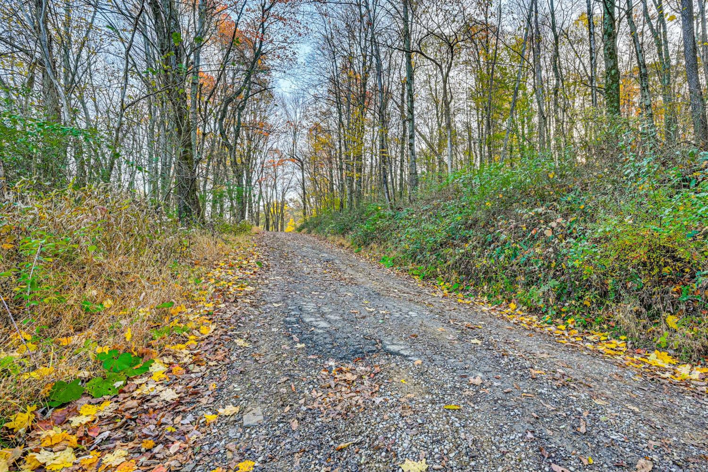 Dirt Road Digs - Quiet Home in Lakeville!