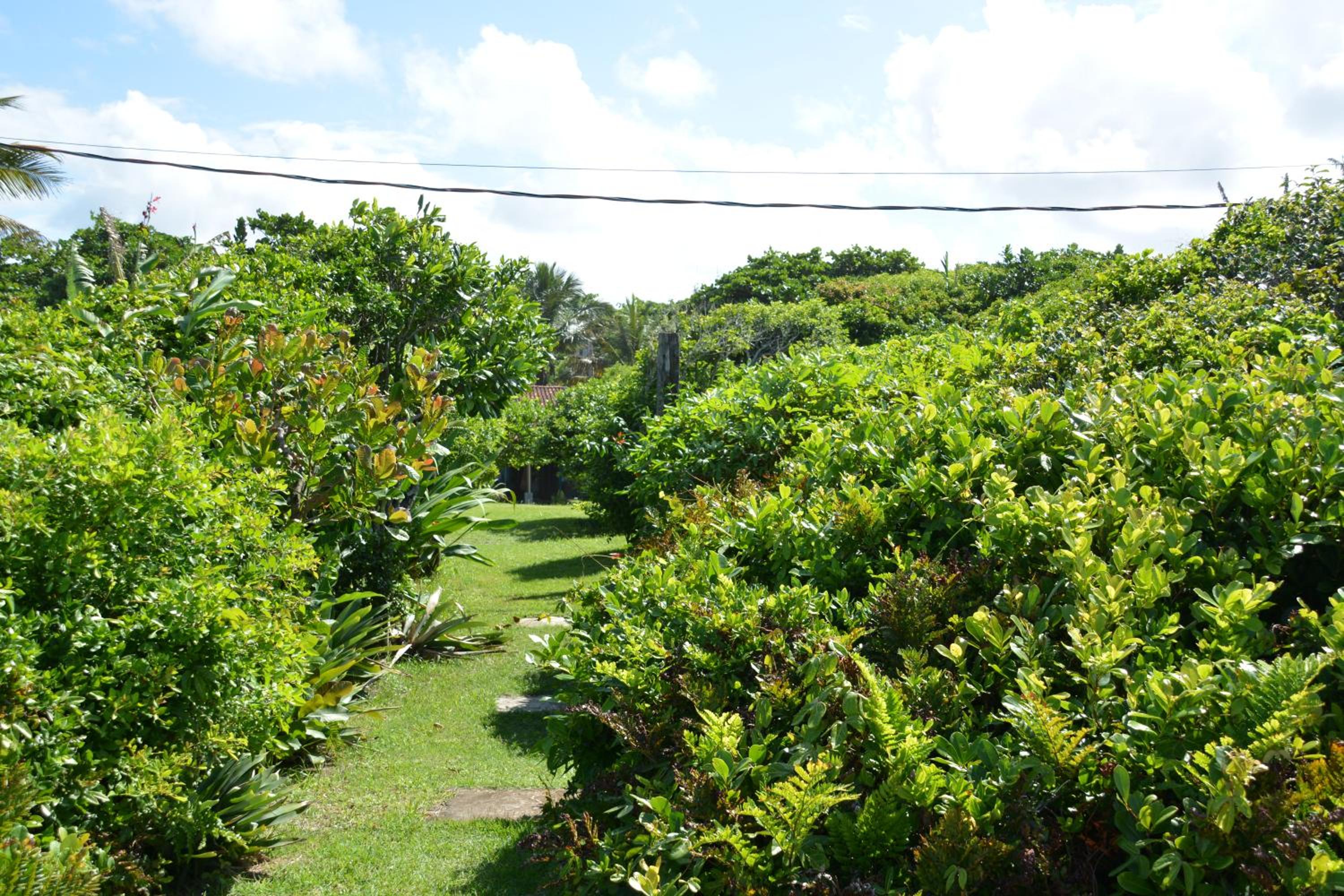 Photo 20