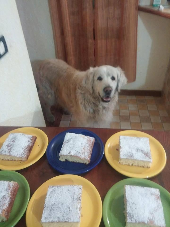 human