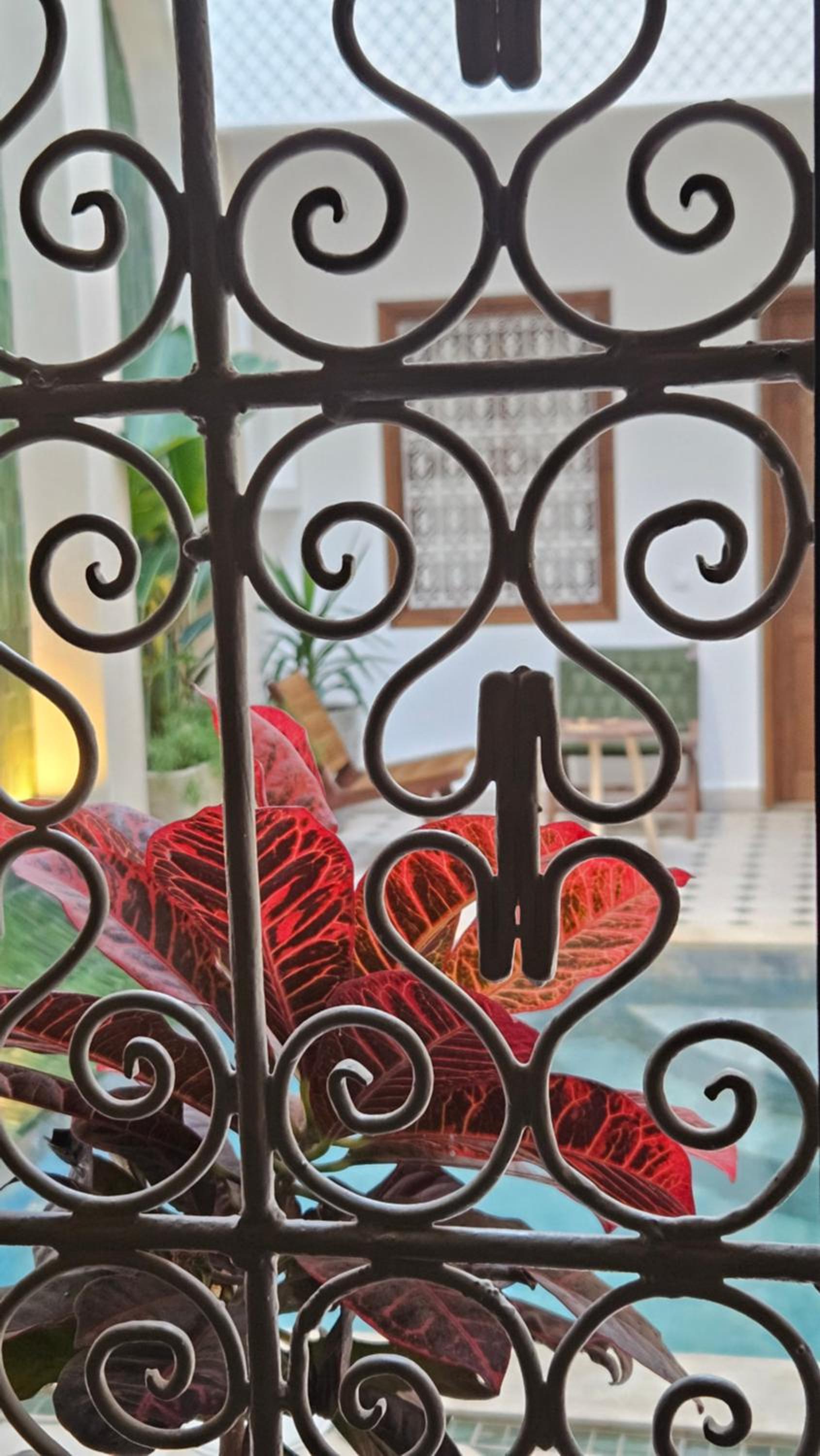 Riad Jô & Spa