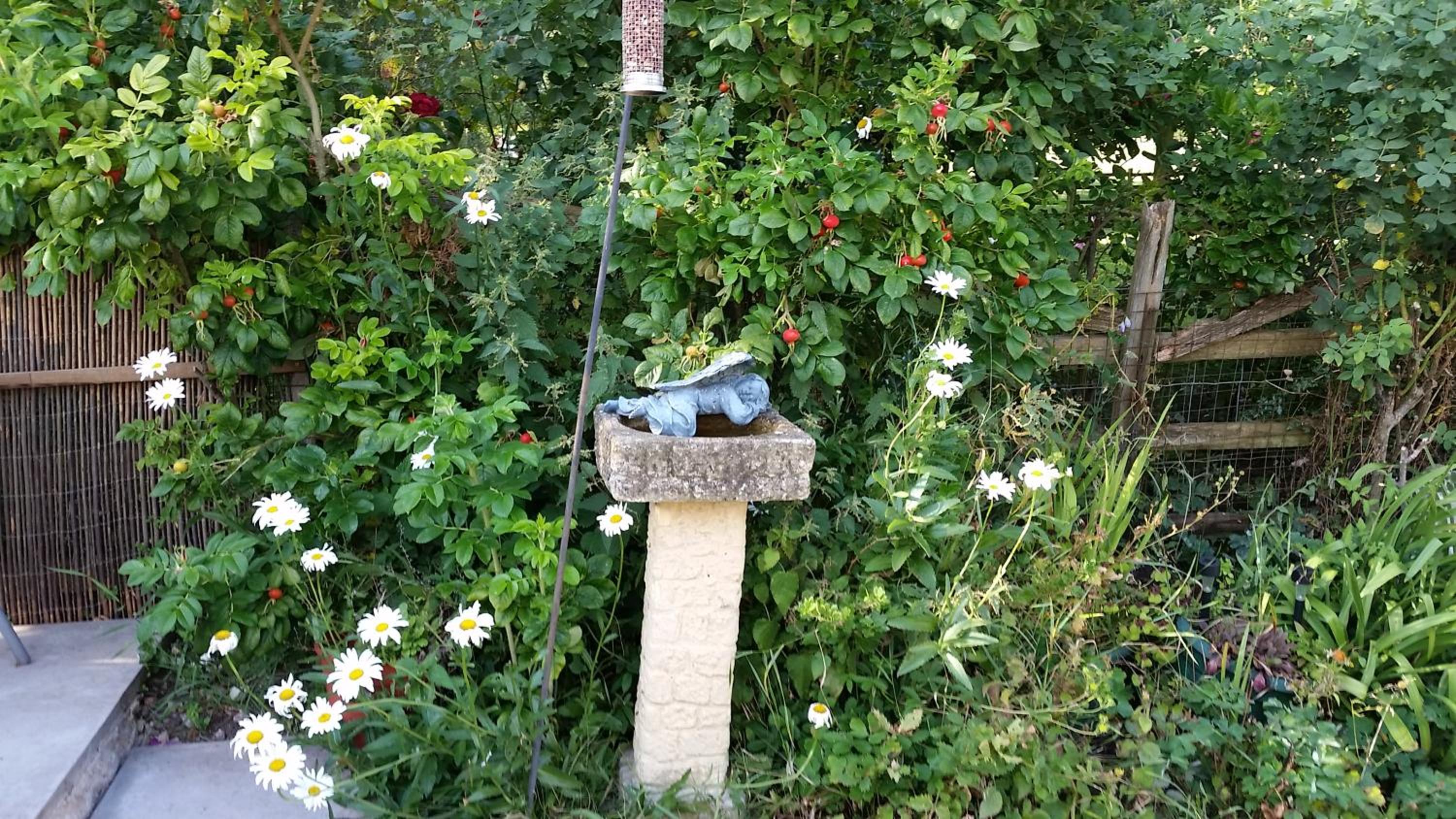 Photo 14