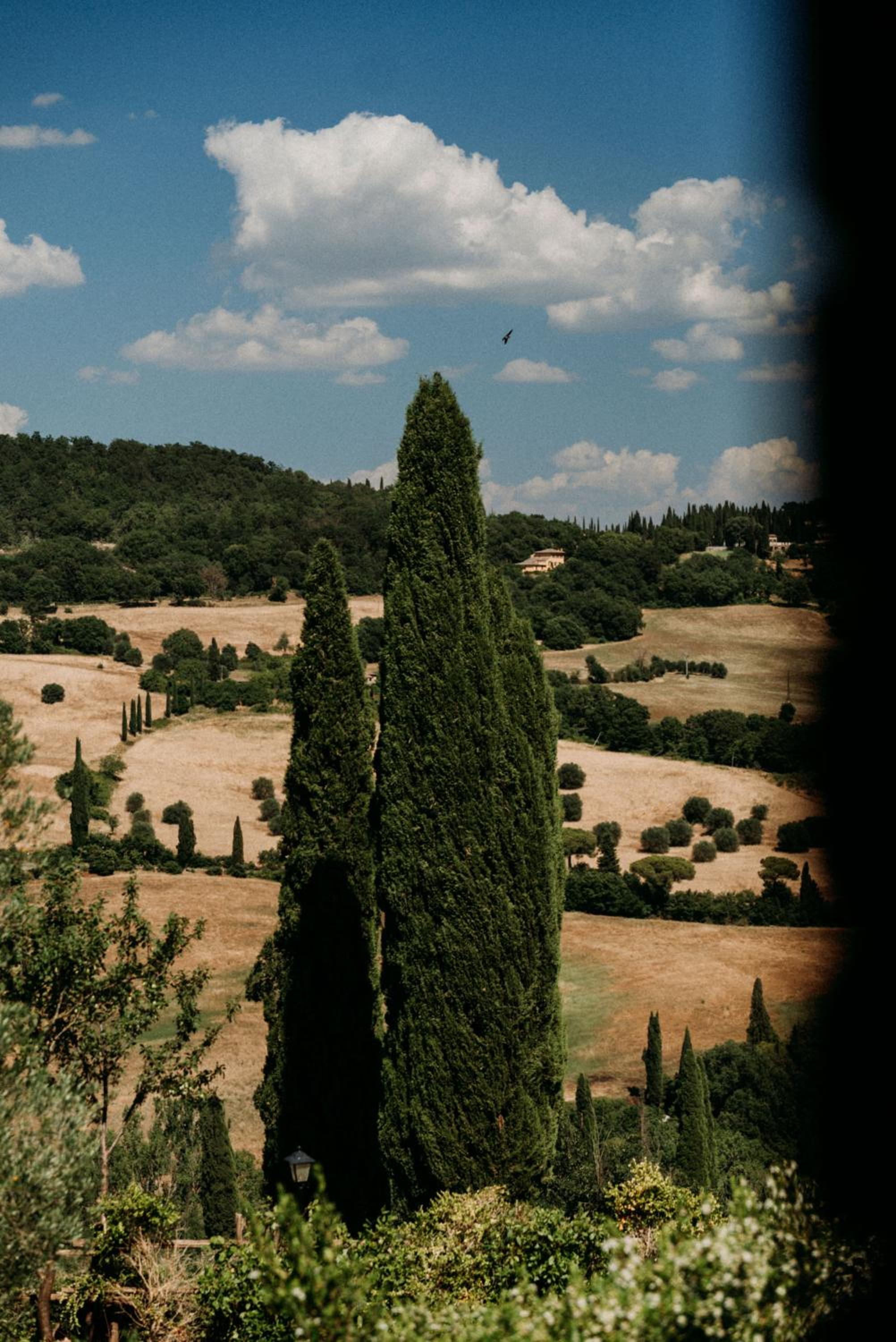 Vitalenta Agriboutique