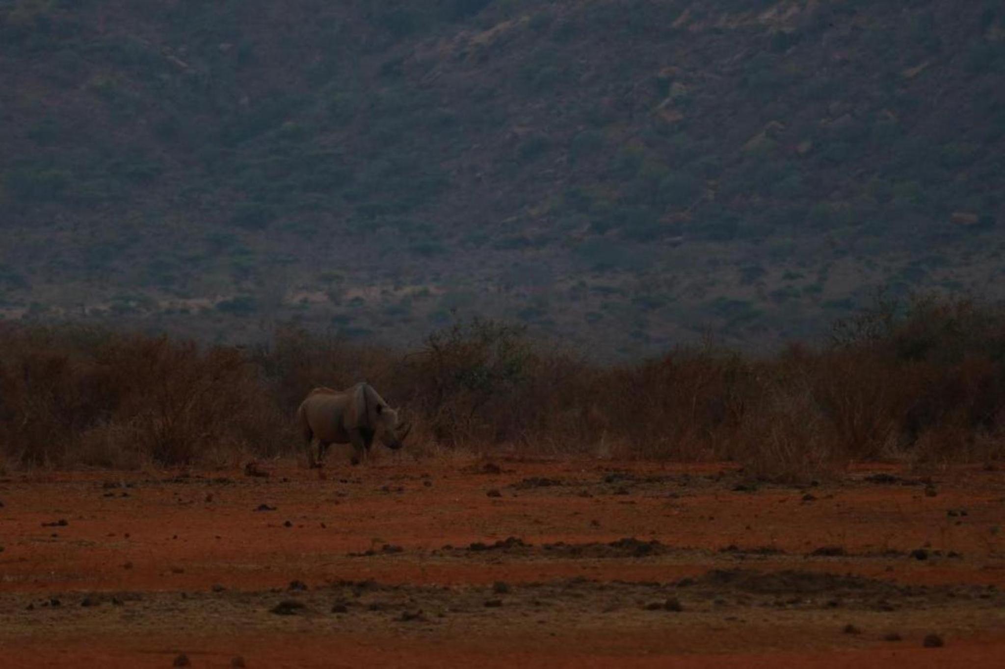 Eco Deluxe Double at Tausa Tsavo Lodge - 2341