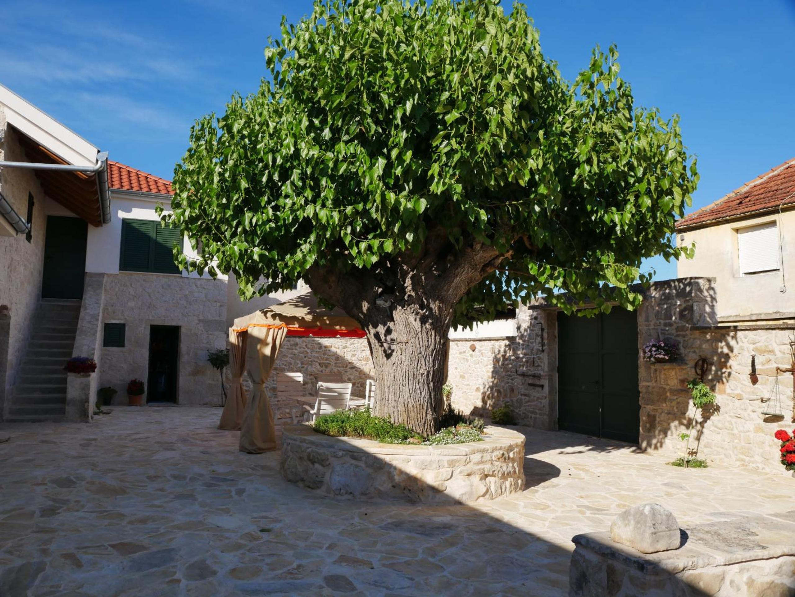 Villa Didova kuca ZadarVillas
