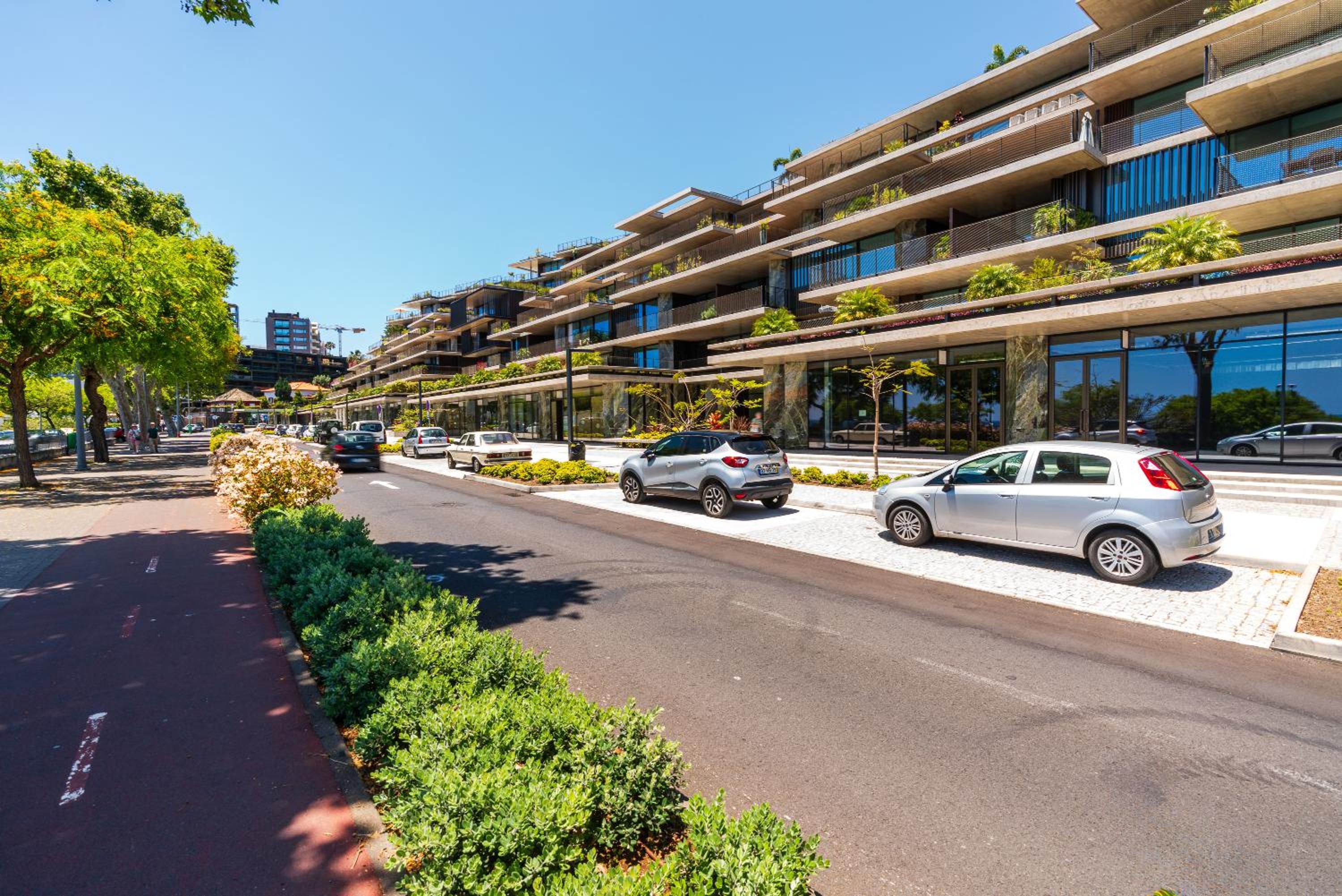 Savoy Monumentalis I by Madeira Dream Stays