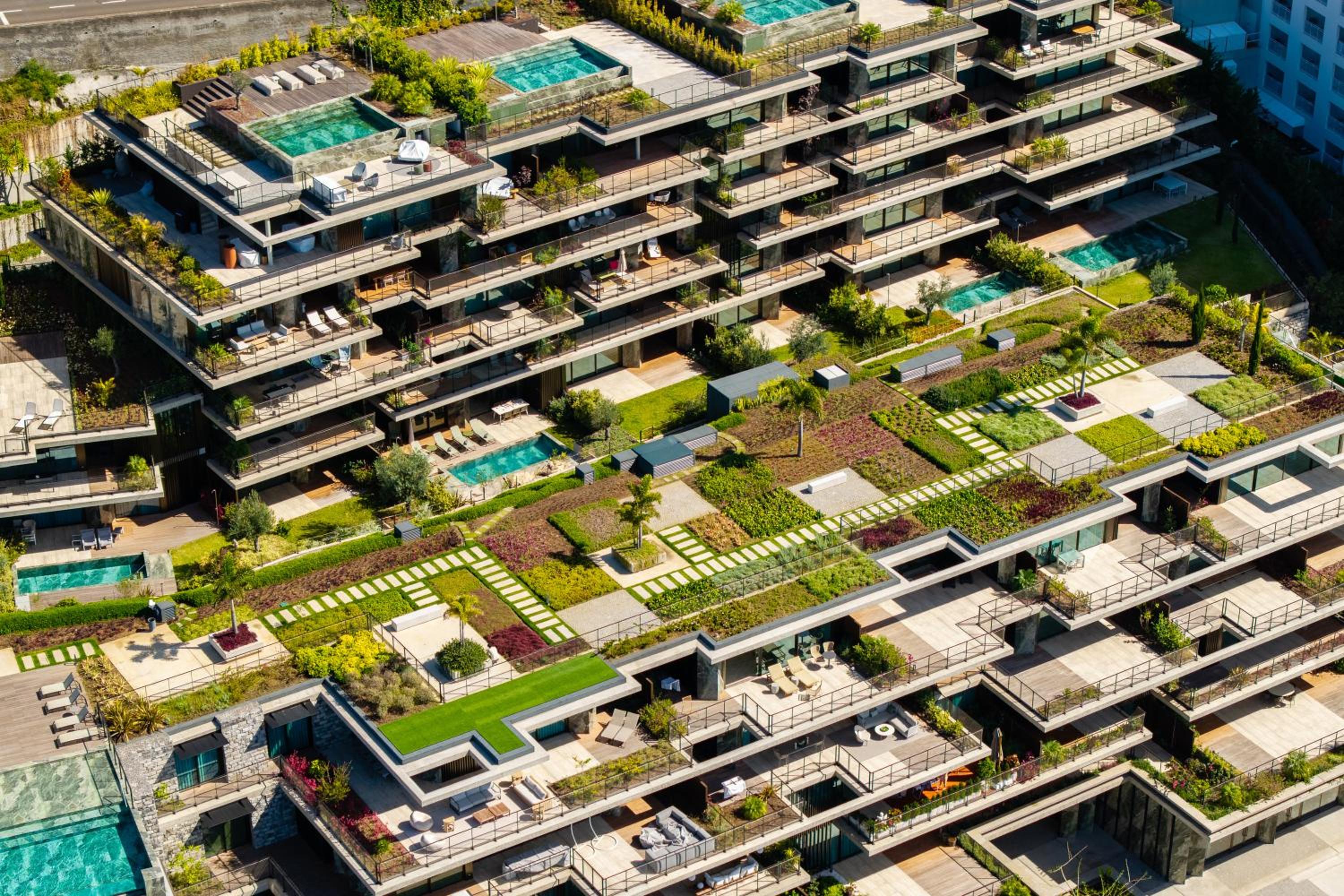 Savoy Monumentalis I by Madeira Dream Stays
