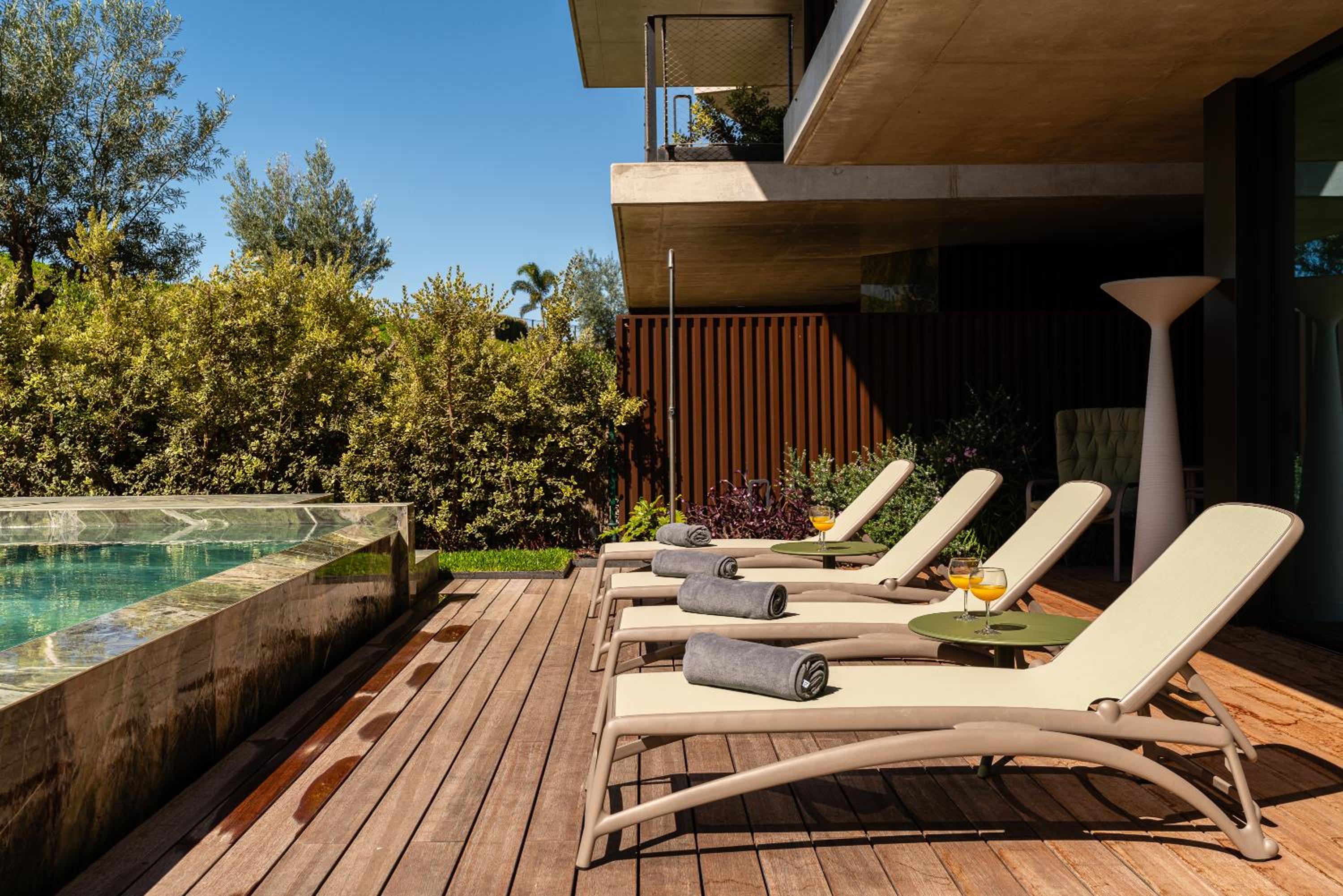 Savoy Monumentalis I by Madeira Dream Stays
