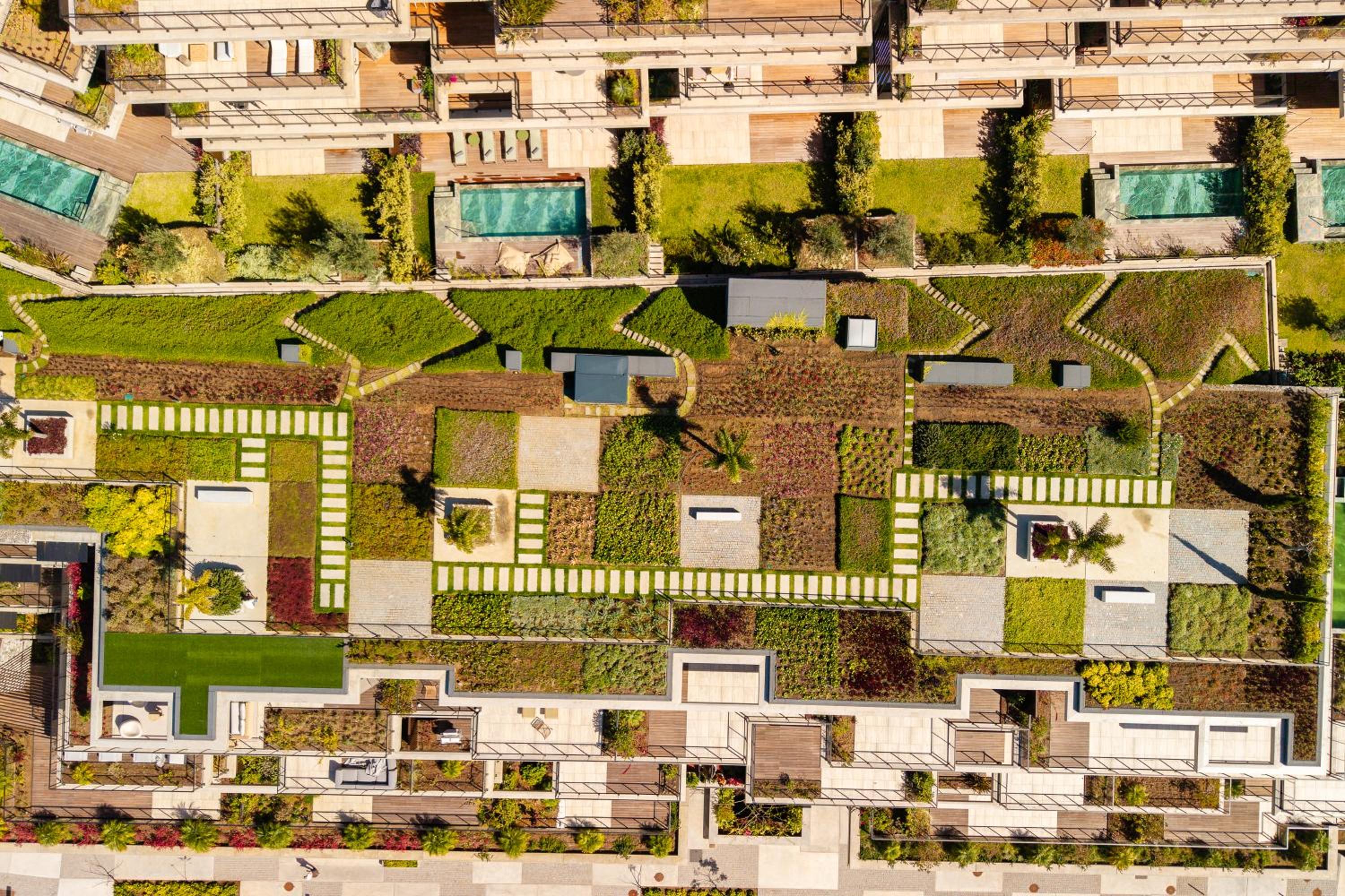 Savoy Monumentalis I by Madeira Dream Stays