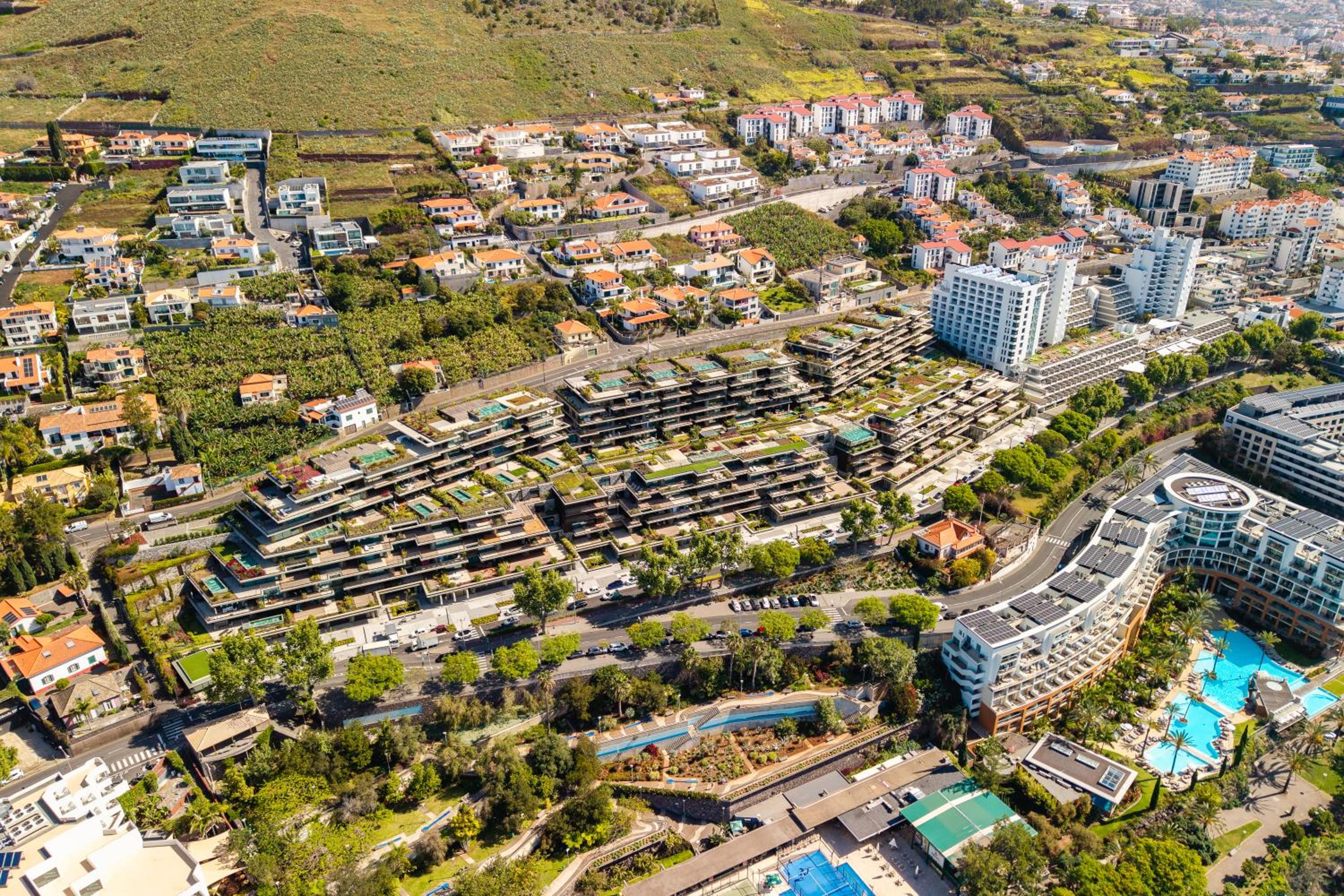 Savoy Monumentalis I by Madeira Dream Stays