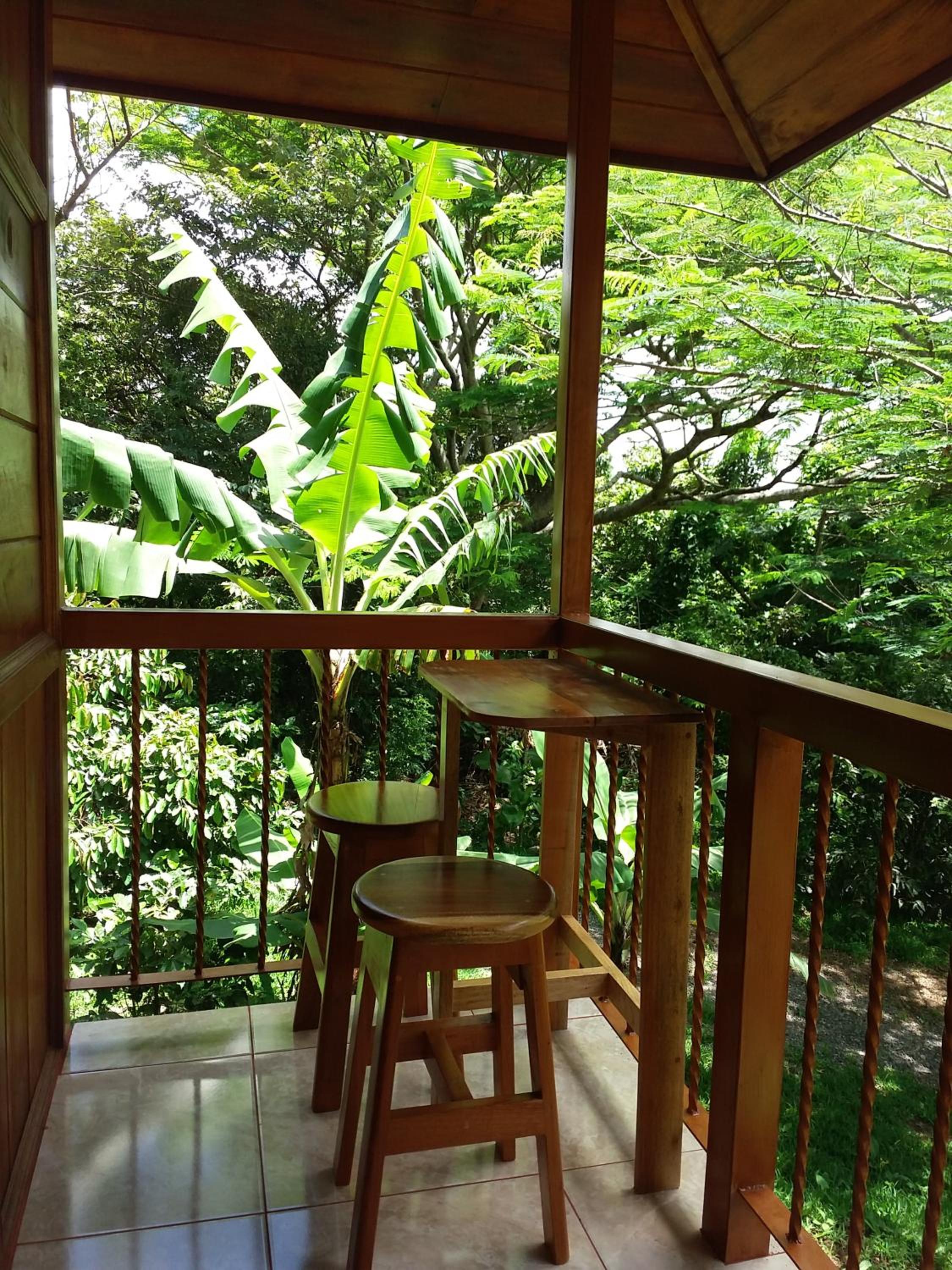 Photo 43