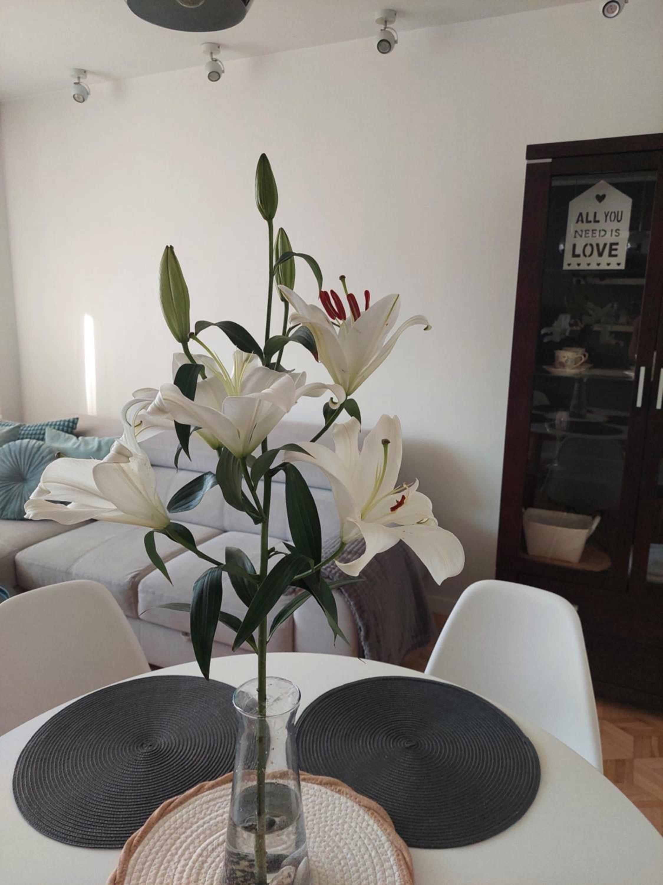 Apartament Rodzinny Przy AquaParku, photo 8