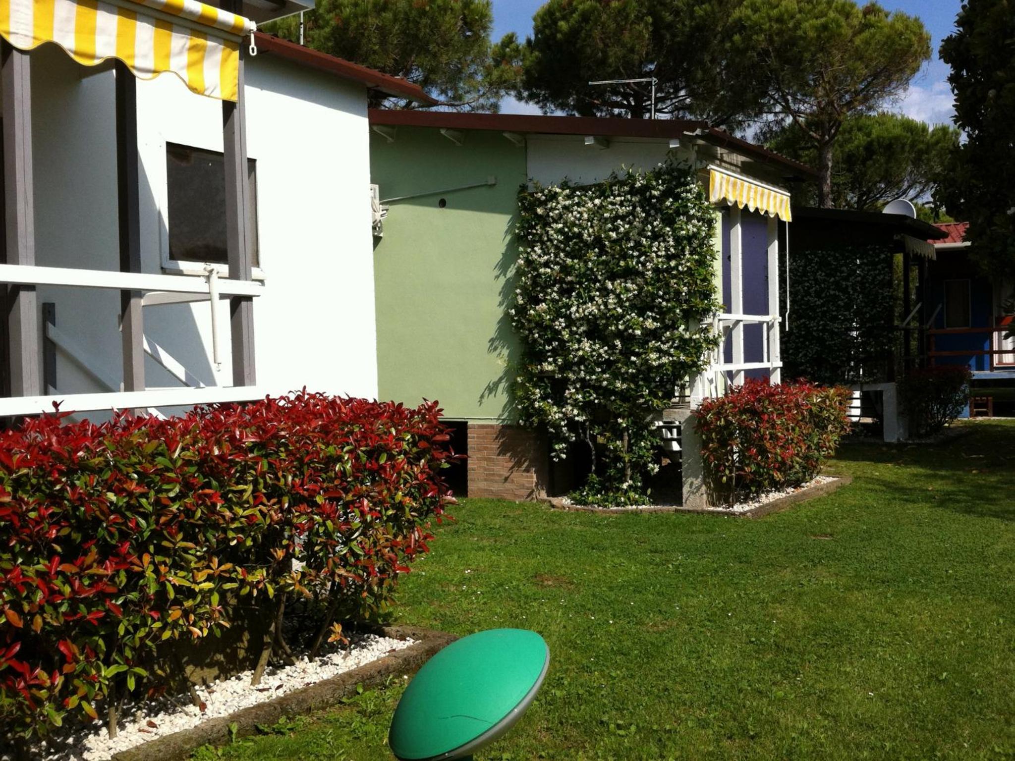 Photo 26