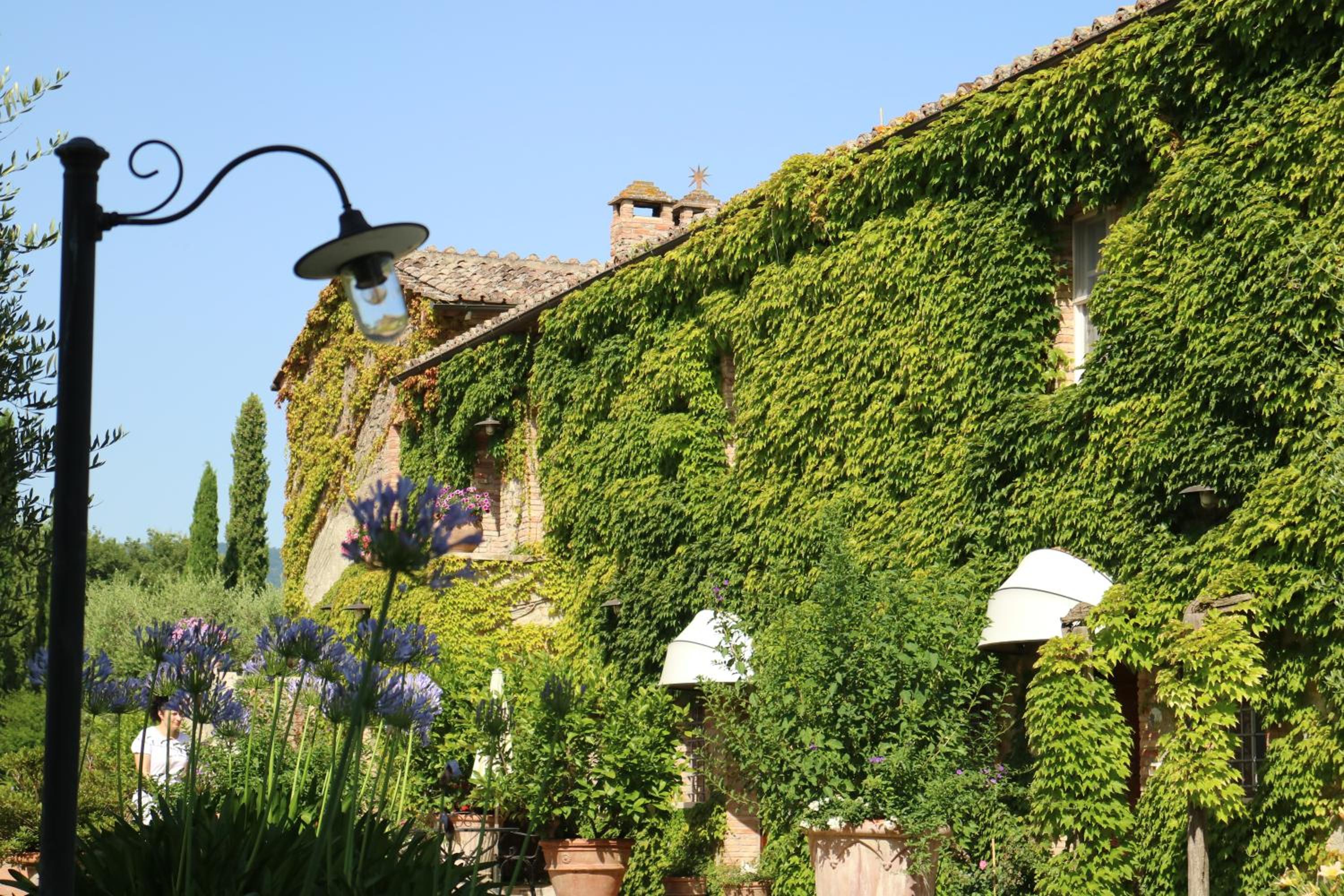Agriturismo La Sovana view 3