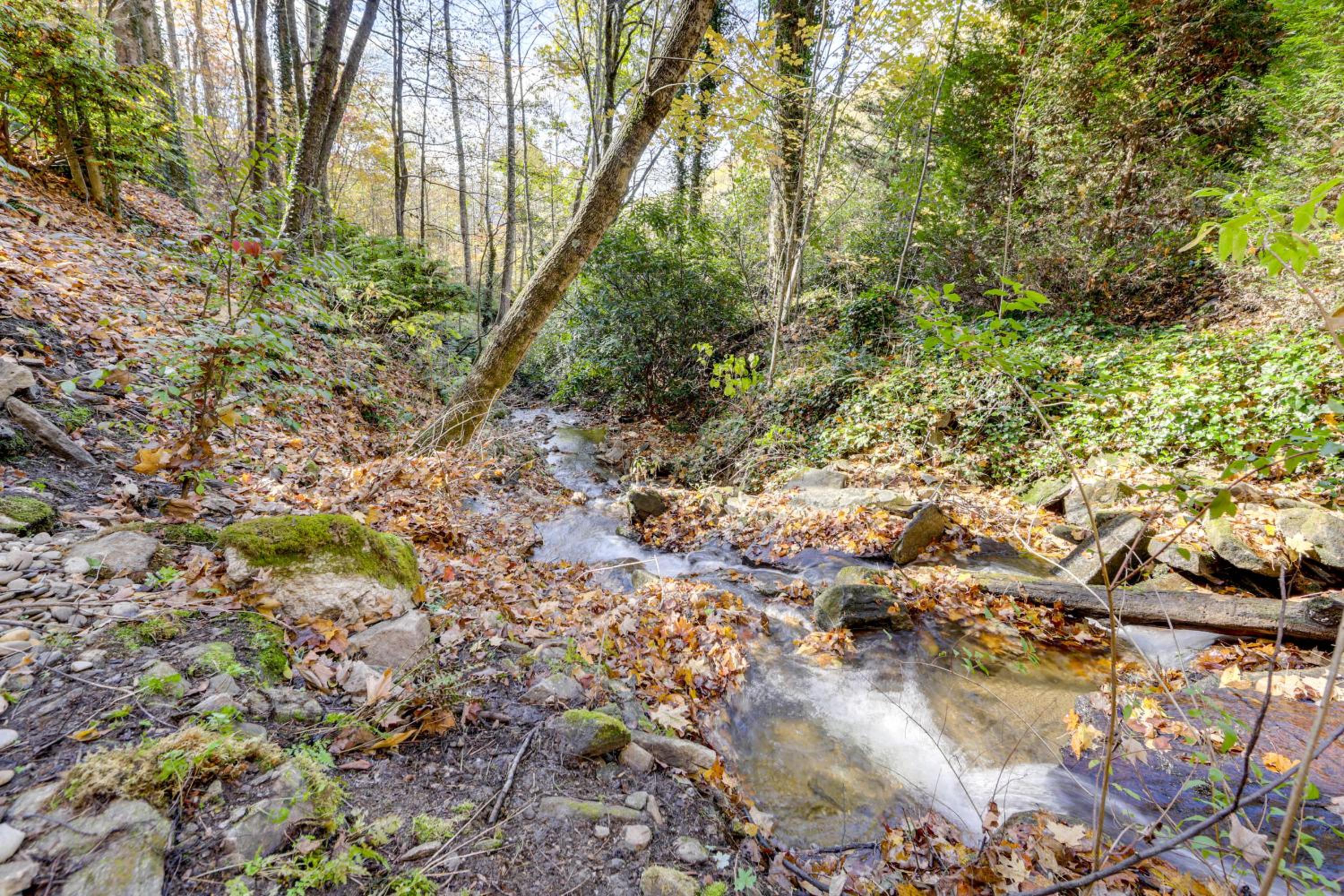 Creekside Cabin in the Heart of Maggie Valley