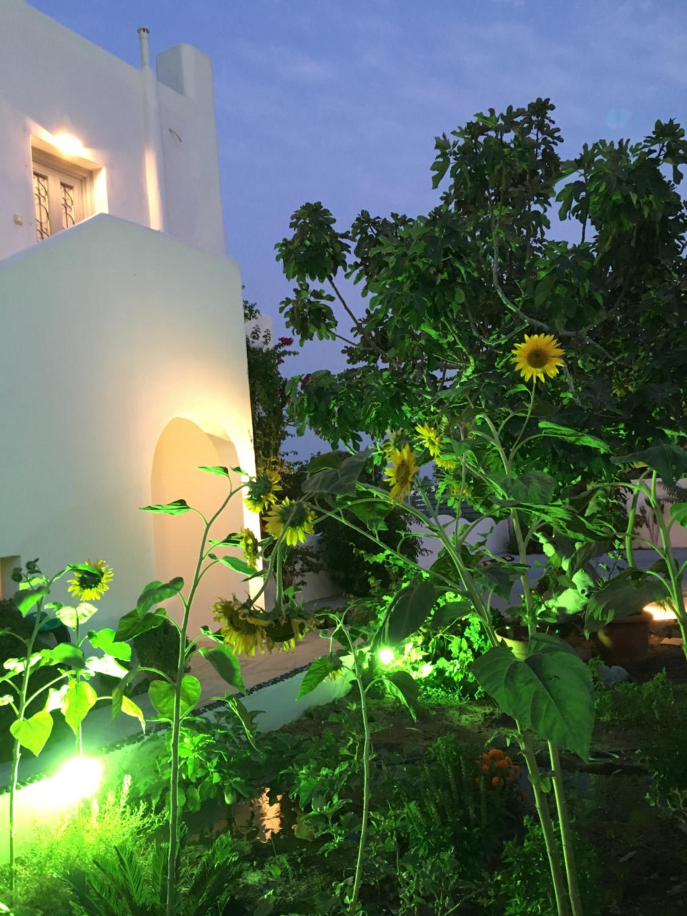 Felicity Luxury Villas