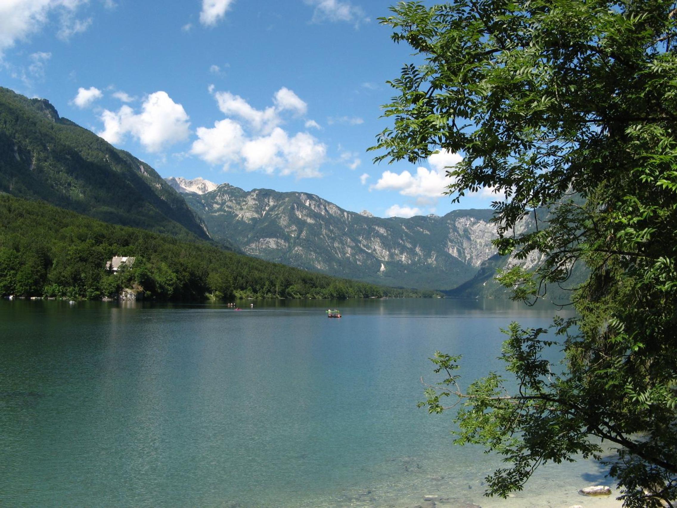 Photo 44