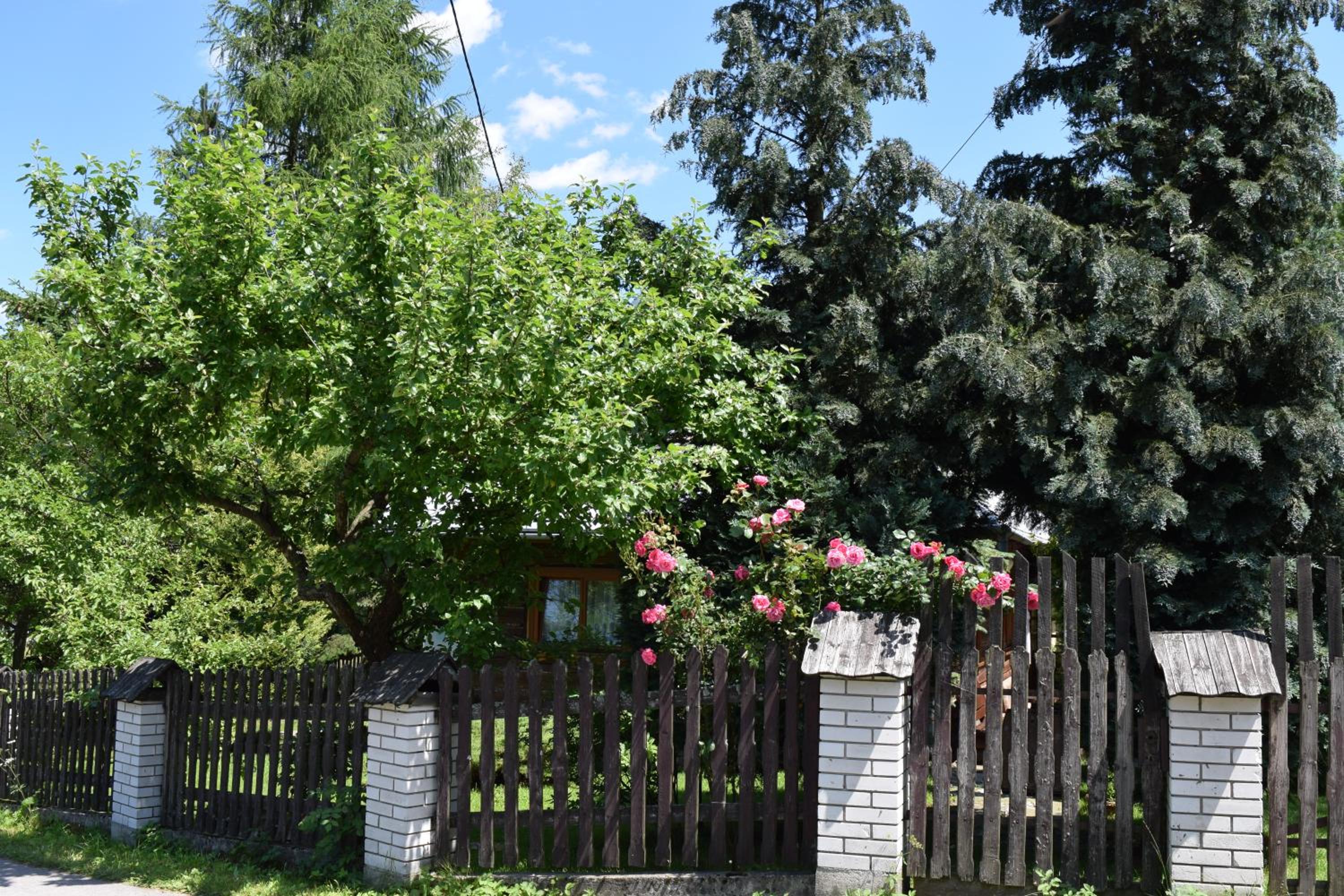 Photo 47