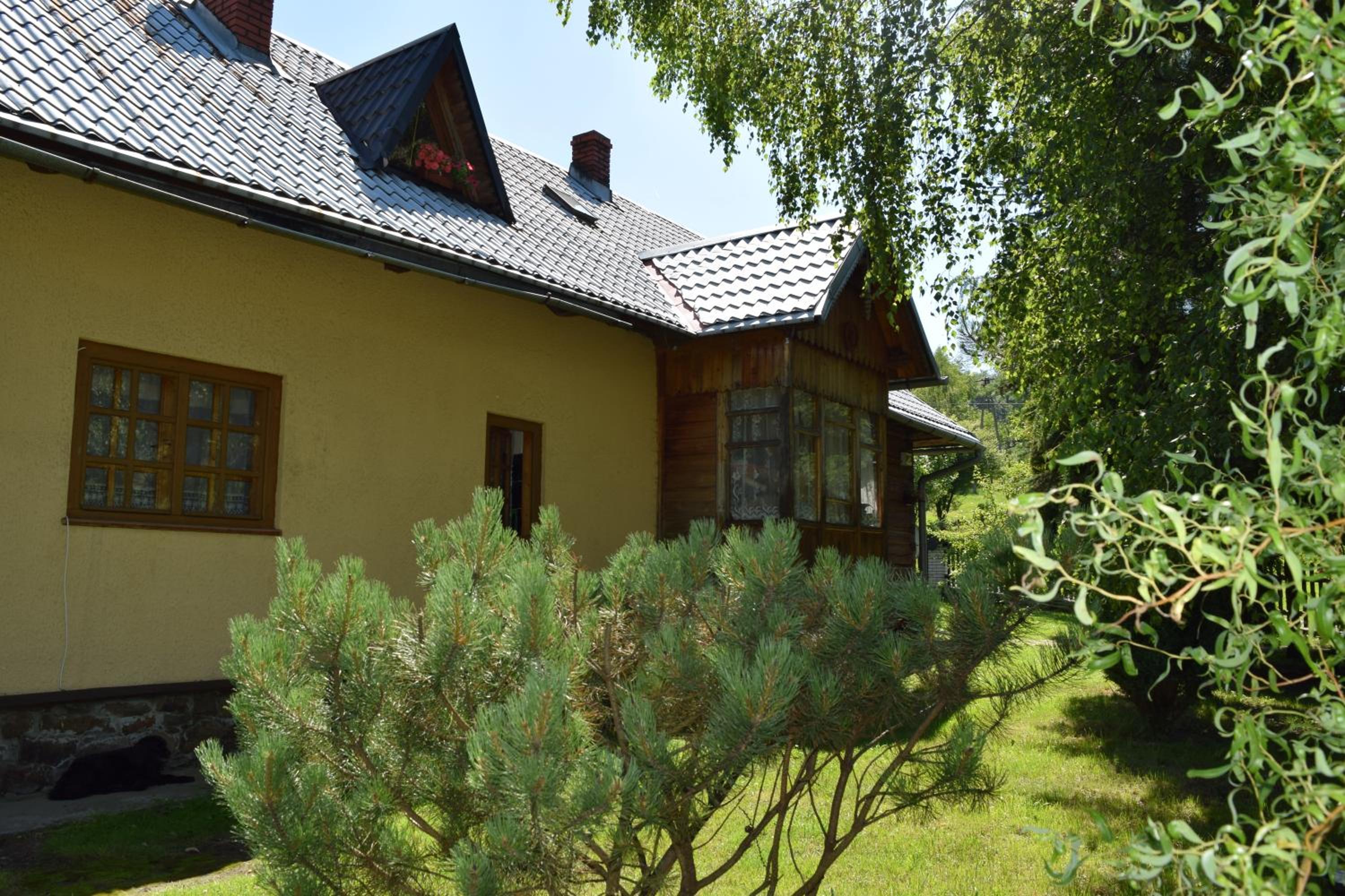 Photo 51