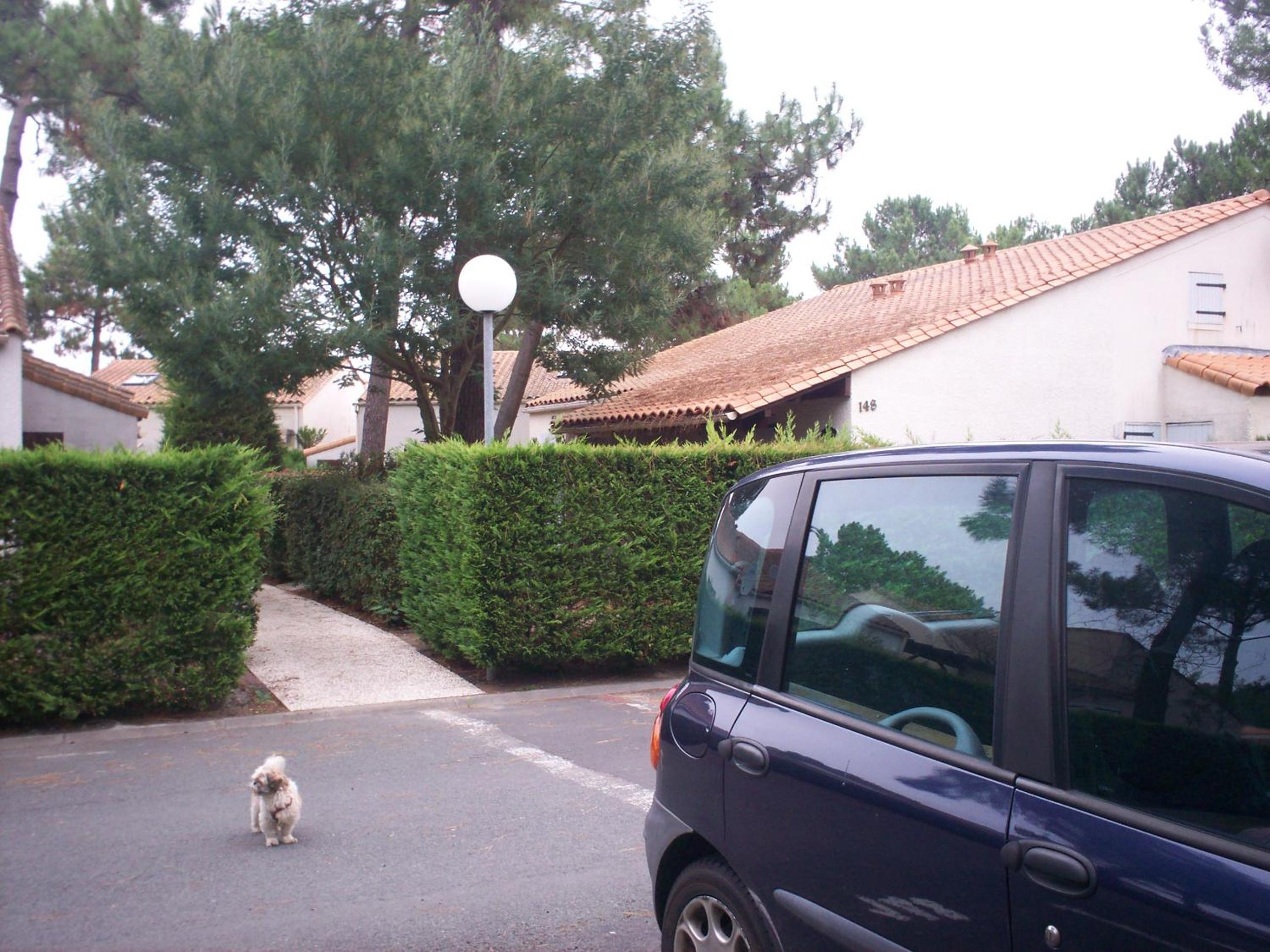 Photo 19