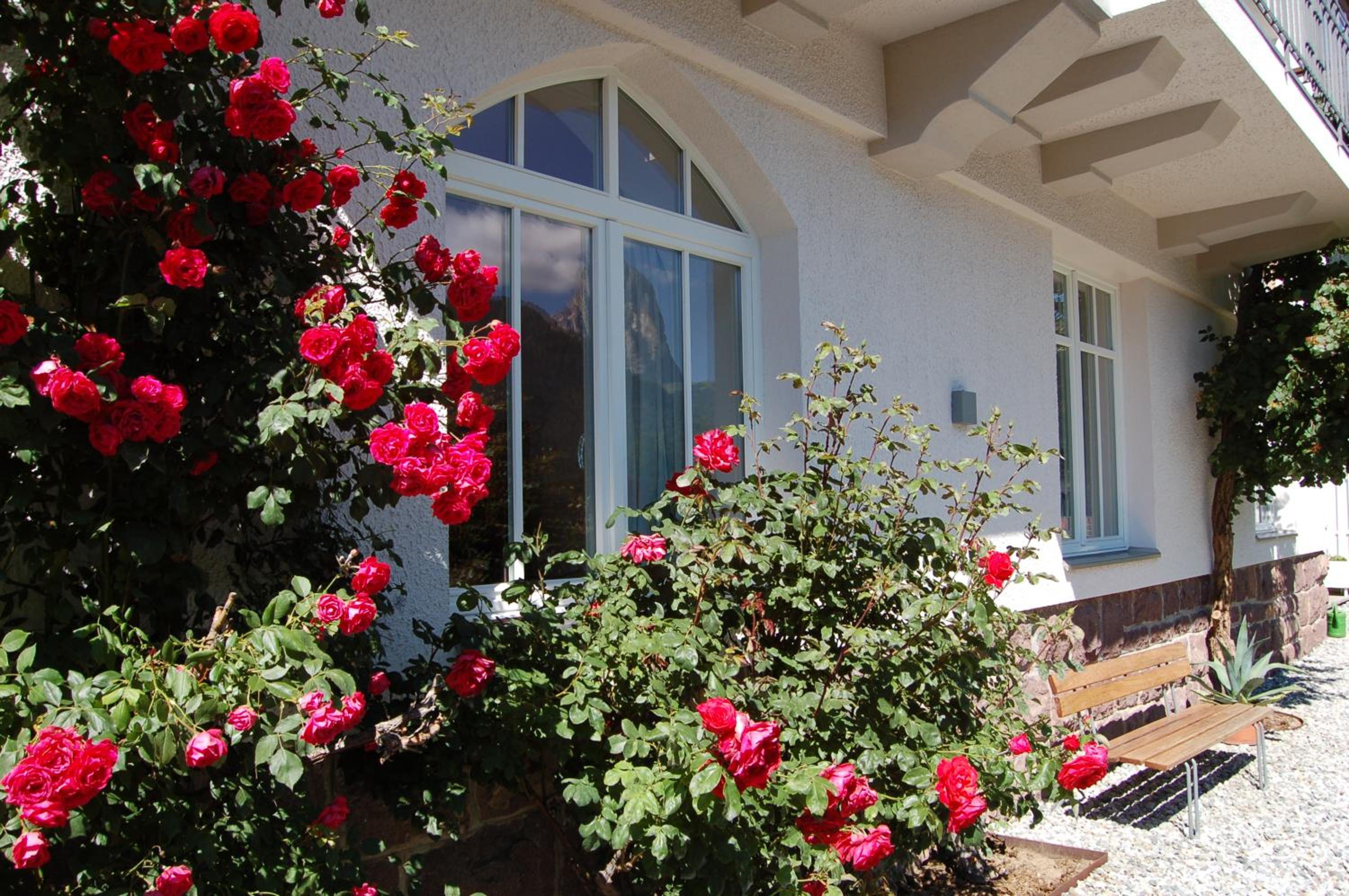Villa Quenz Family Suites view 4