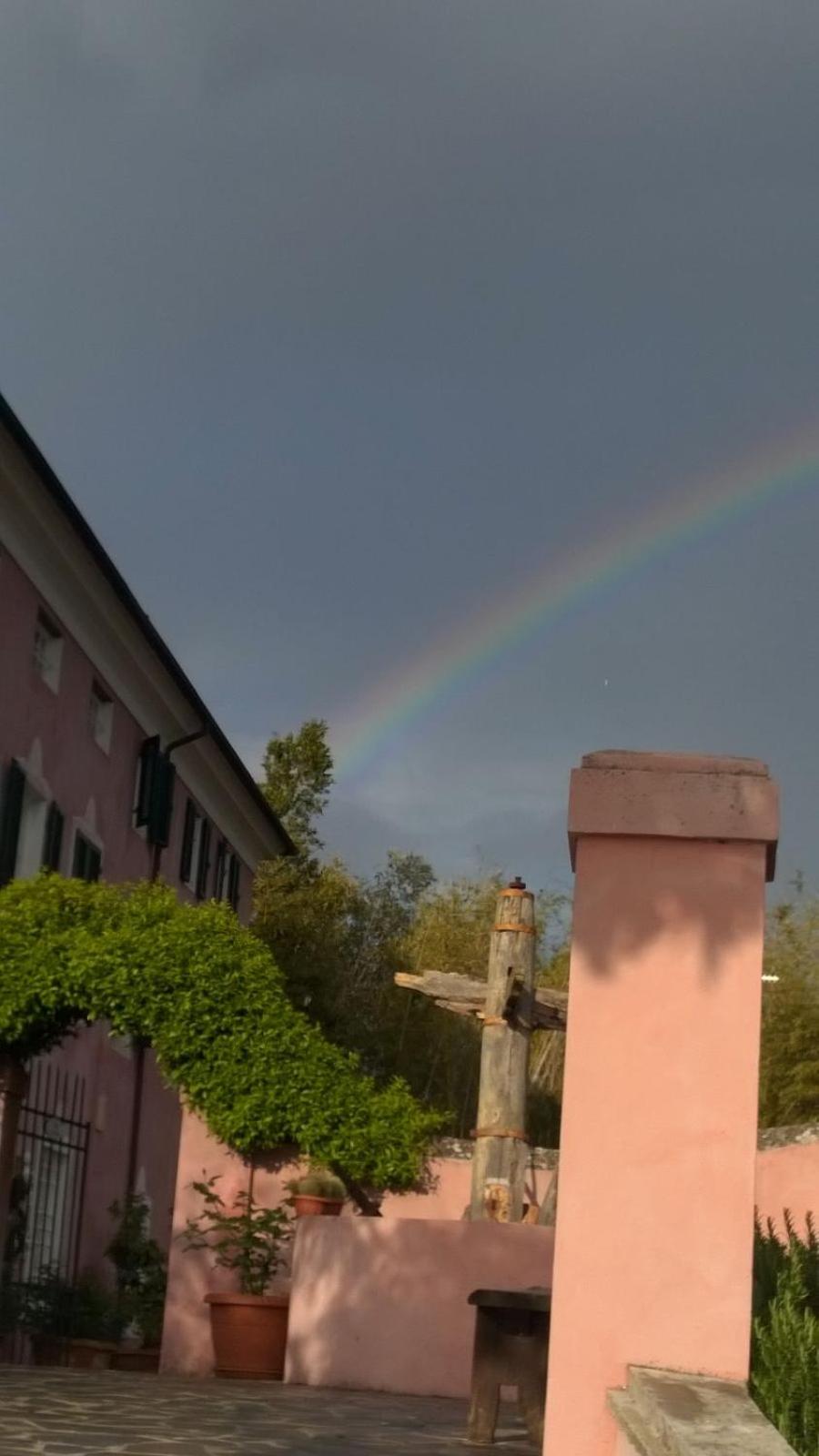 Photo 39