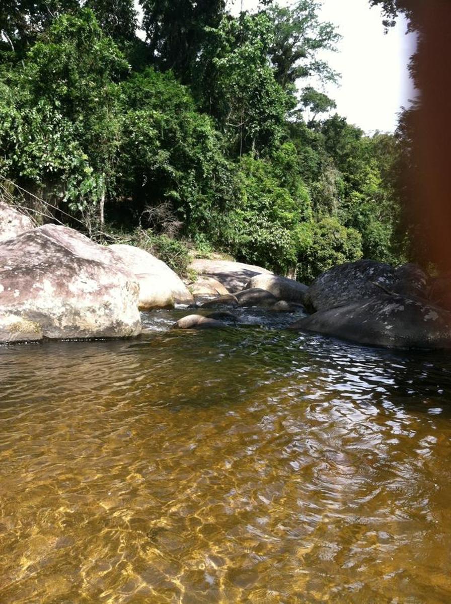 Photo 32