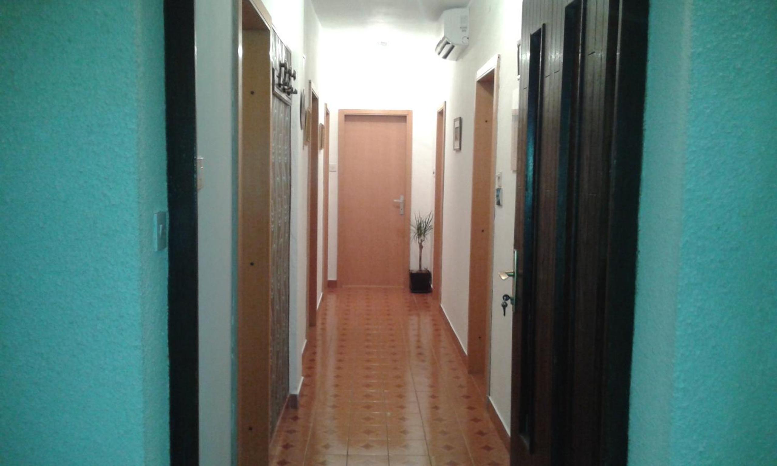 Apartment Danica