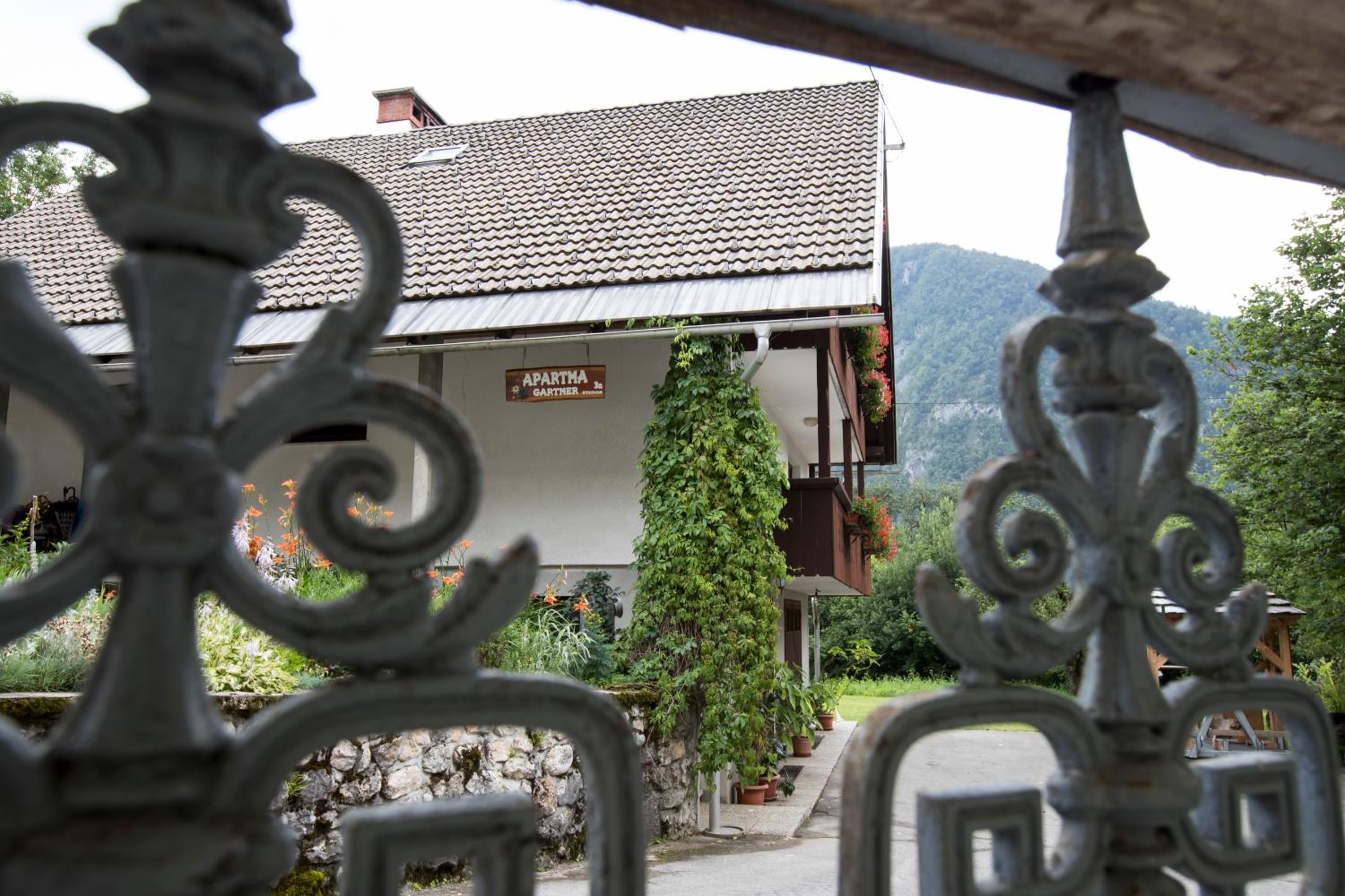 Photo 44