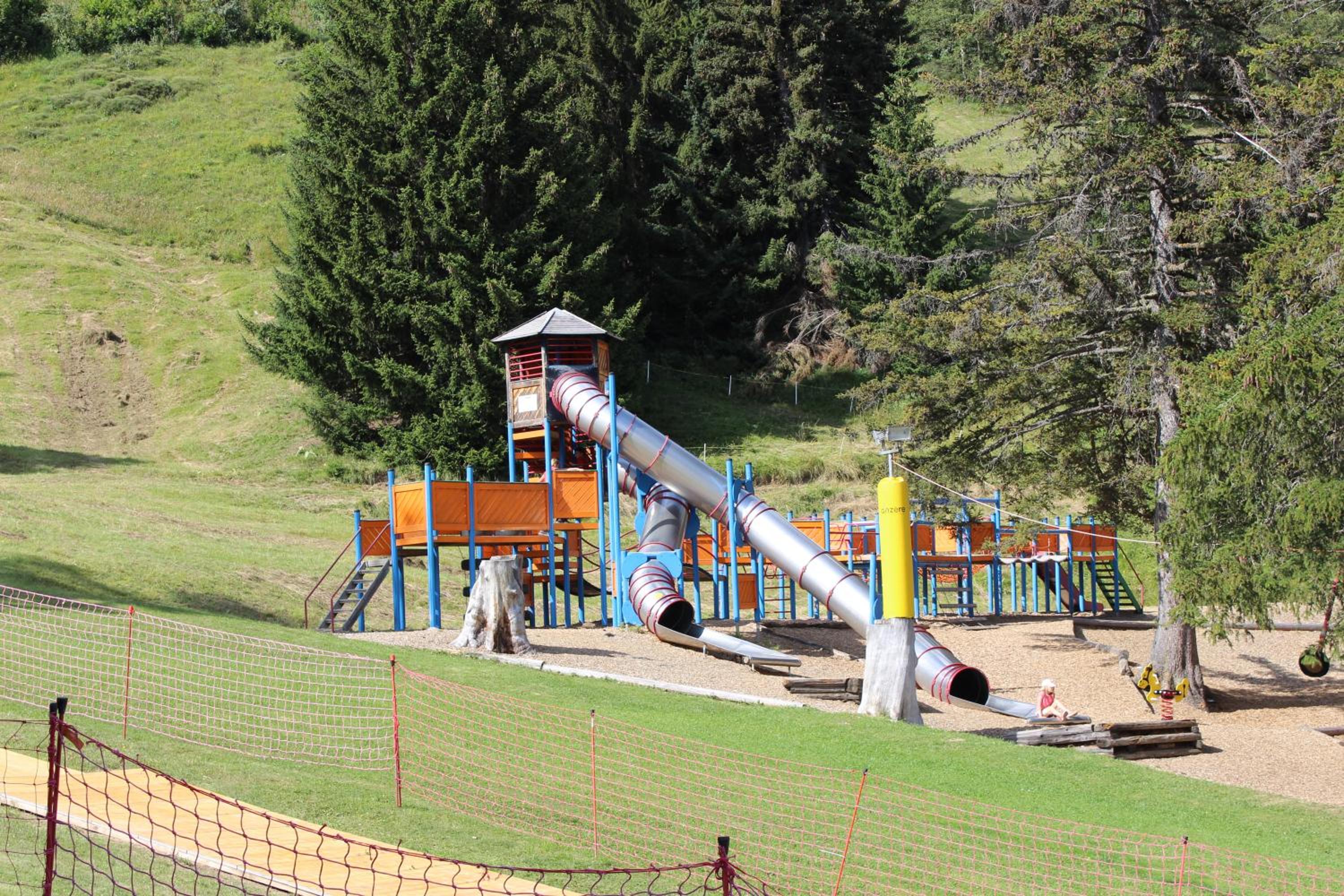Photo 6