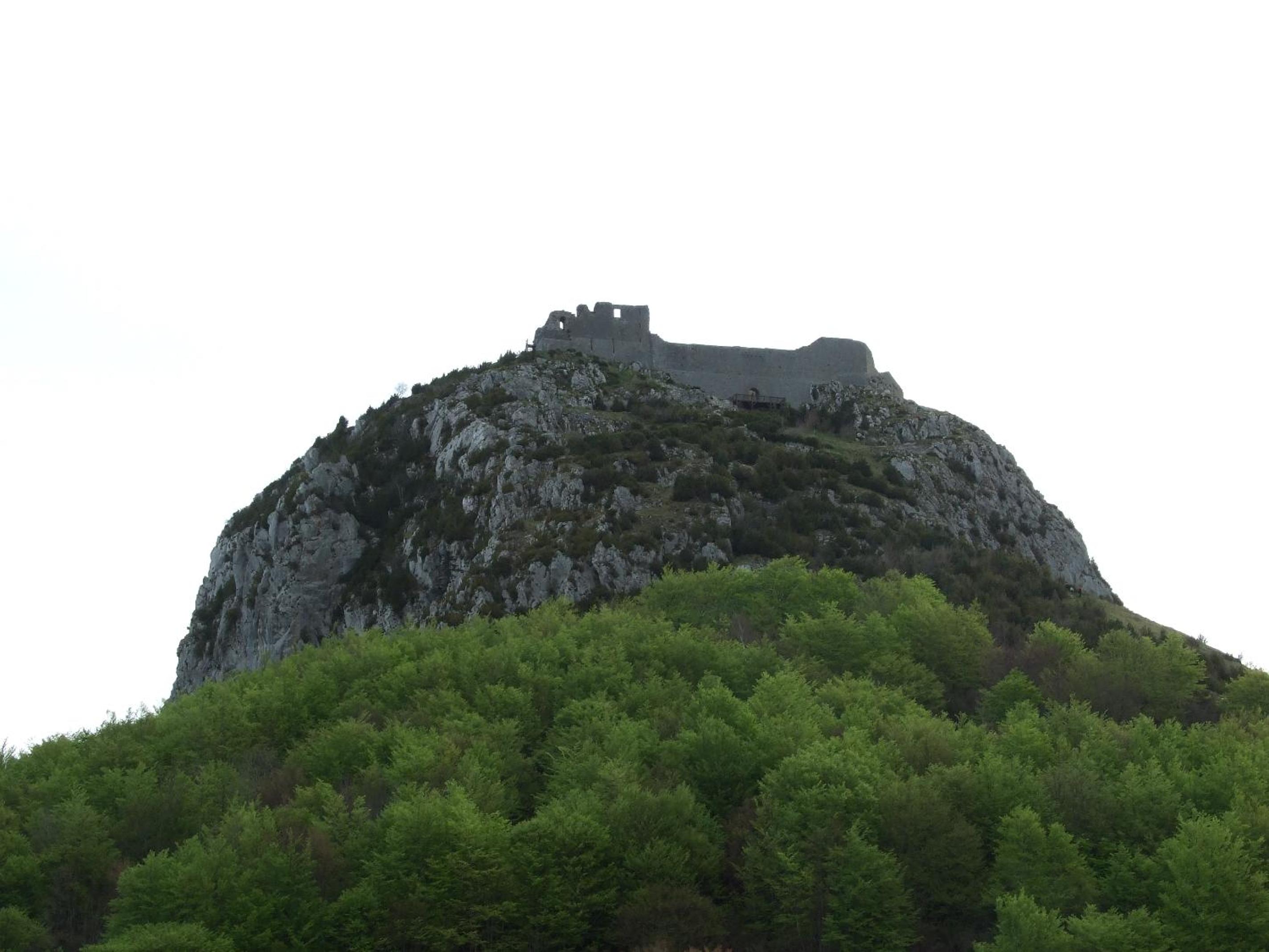 Photo 26