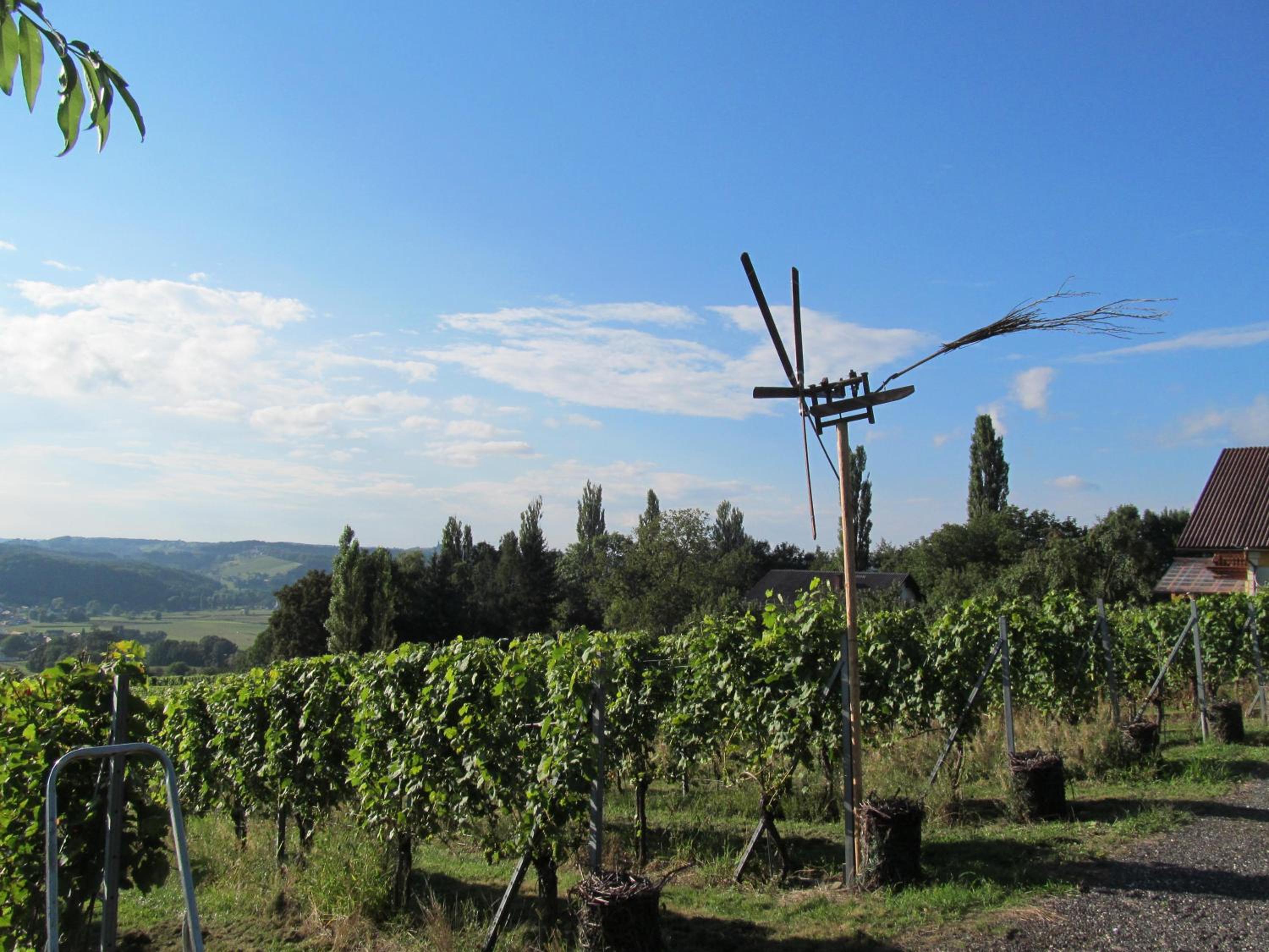 Appartement Weingut Schoberhof