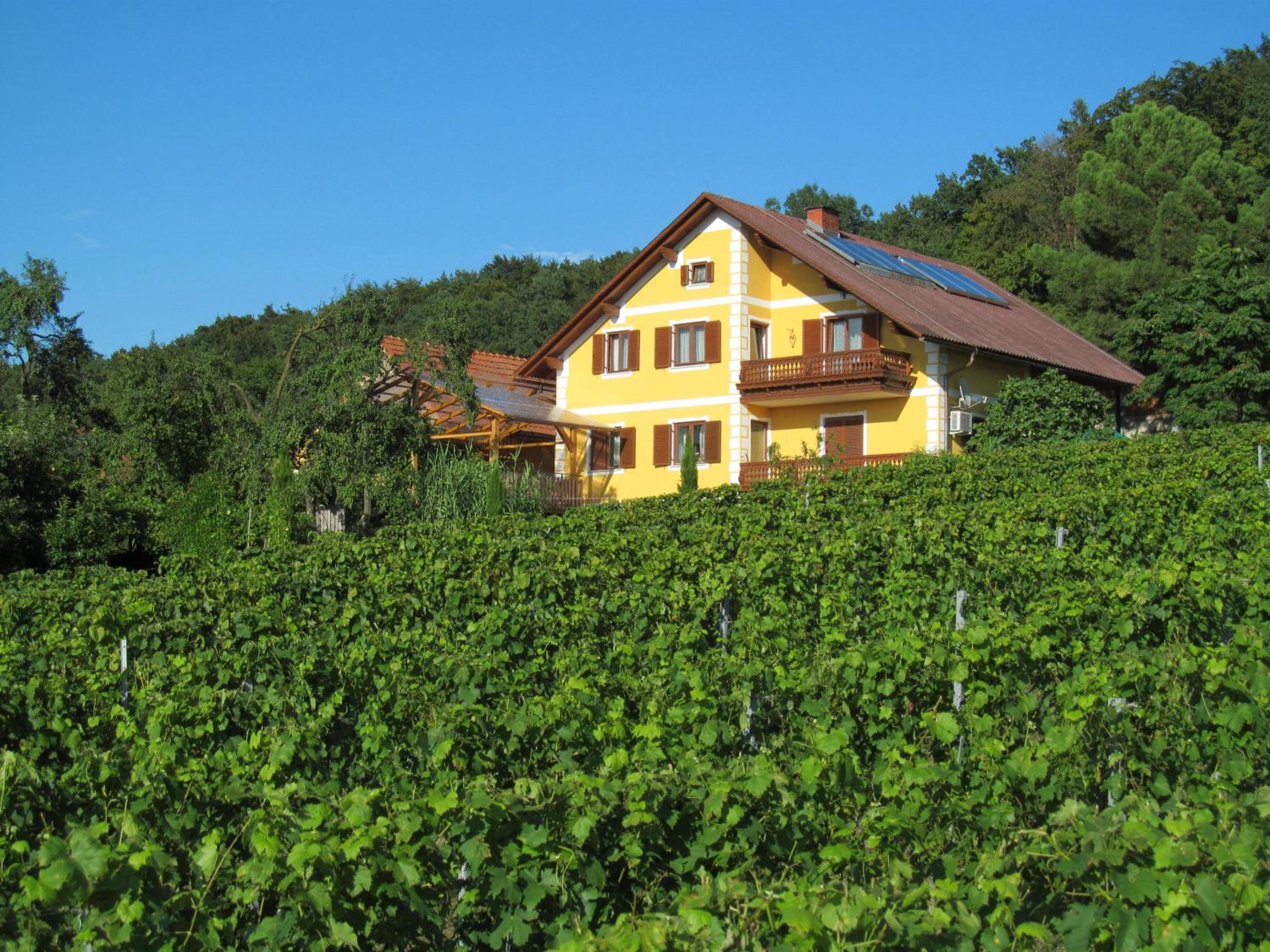 Appartement Weingut Schoberhof