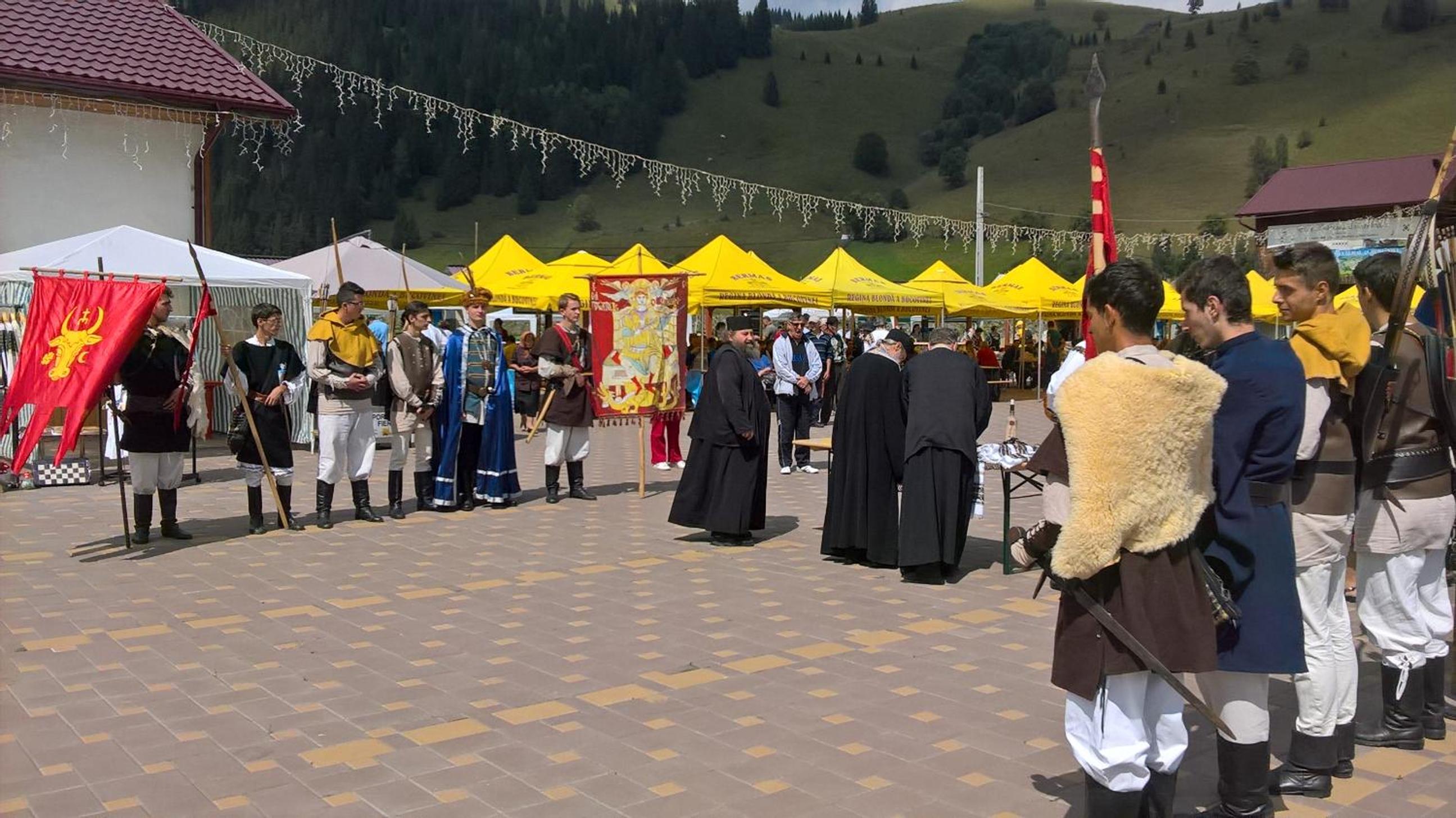 Vila Bucovina view 4