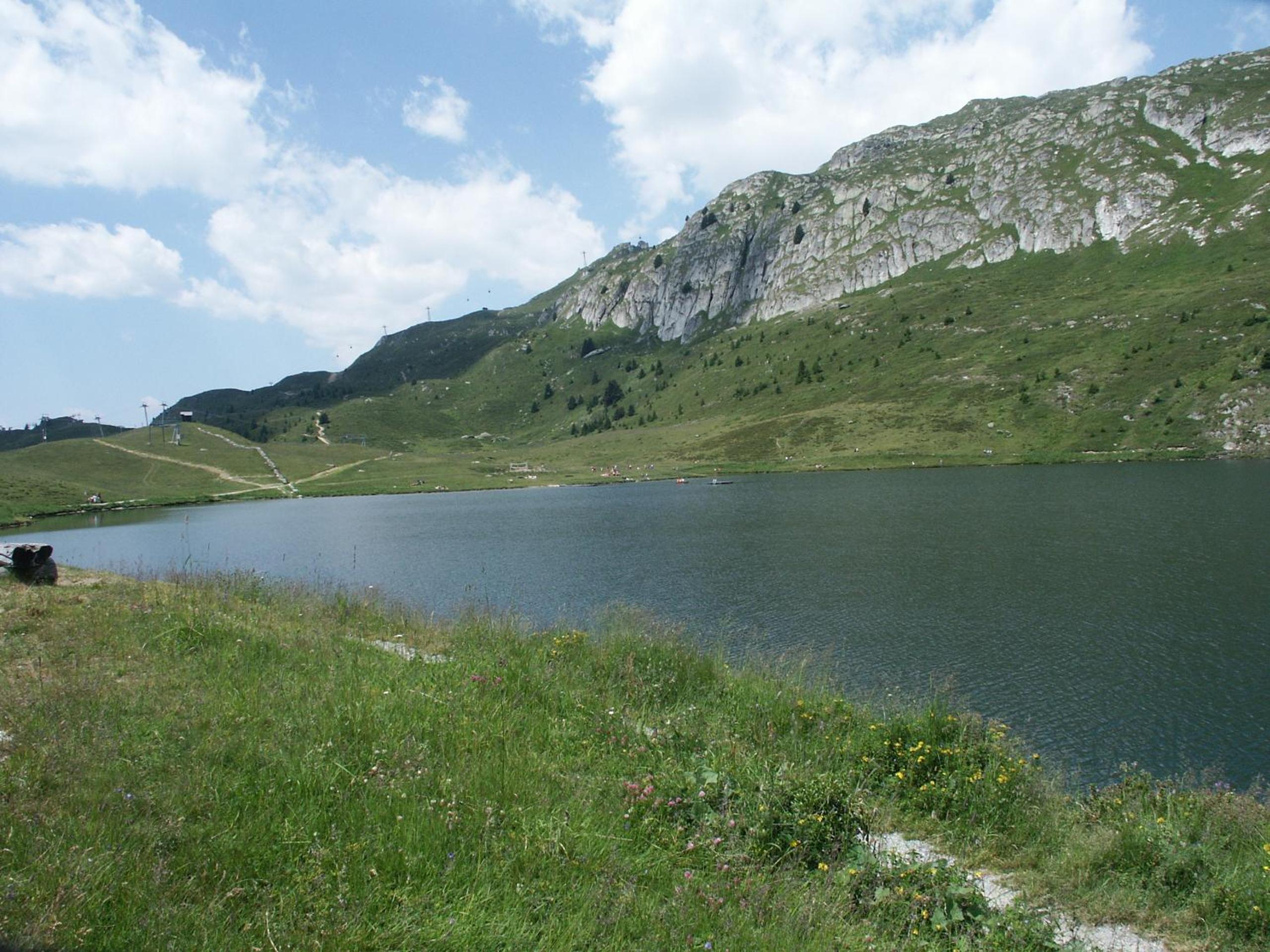 Photo 31