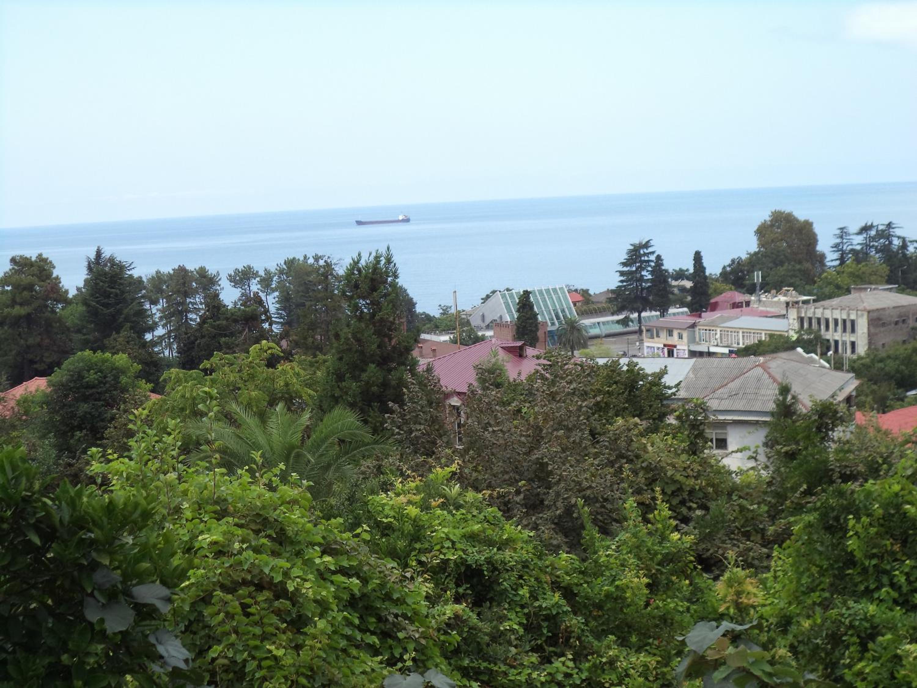 Photo 41